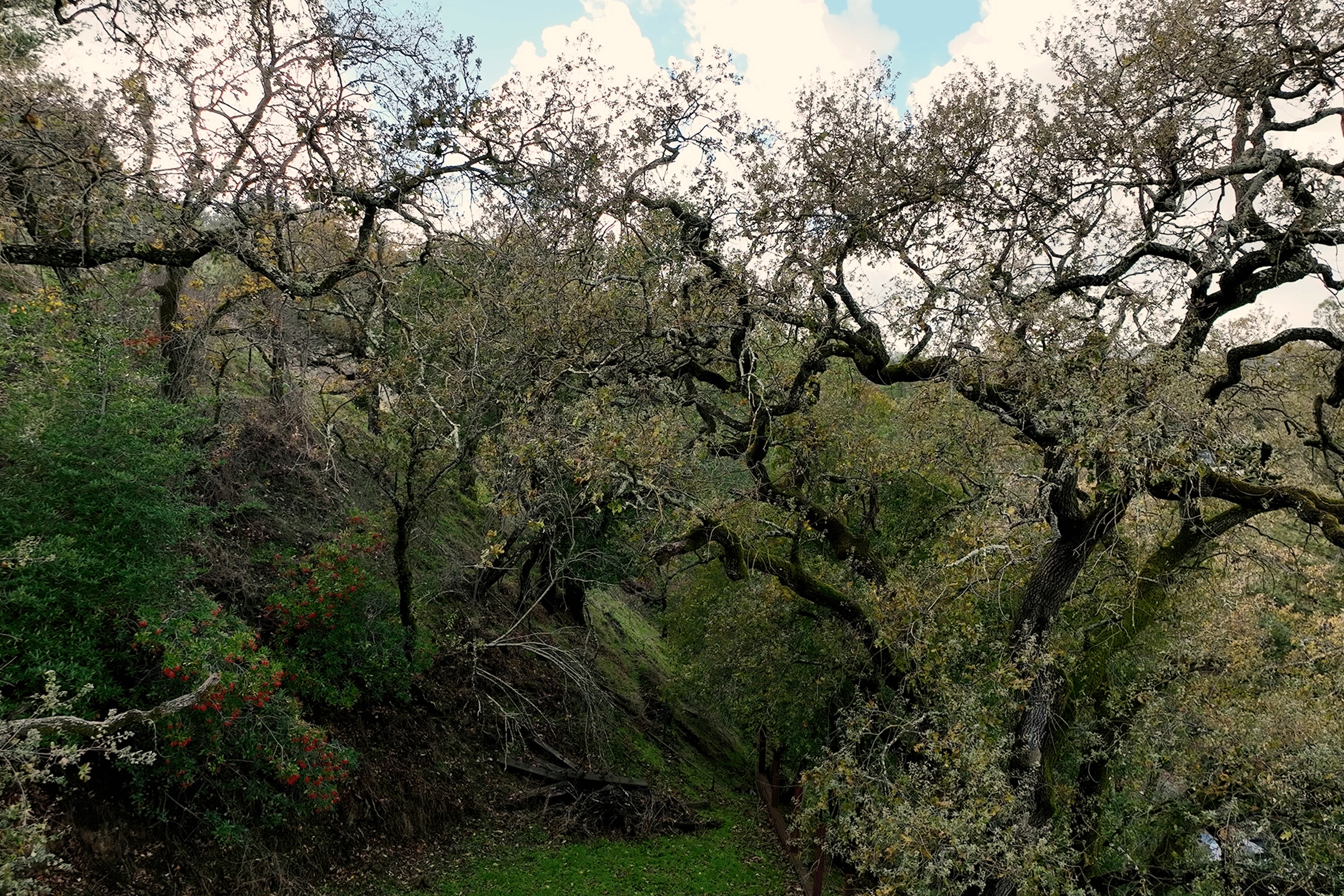  Build Your Dream Home on Nearly an Acre with Sweeping Walnut Creek Views - 物件實景