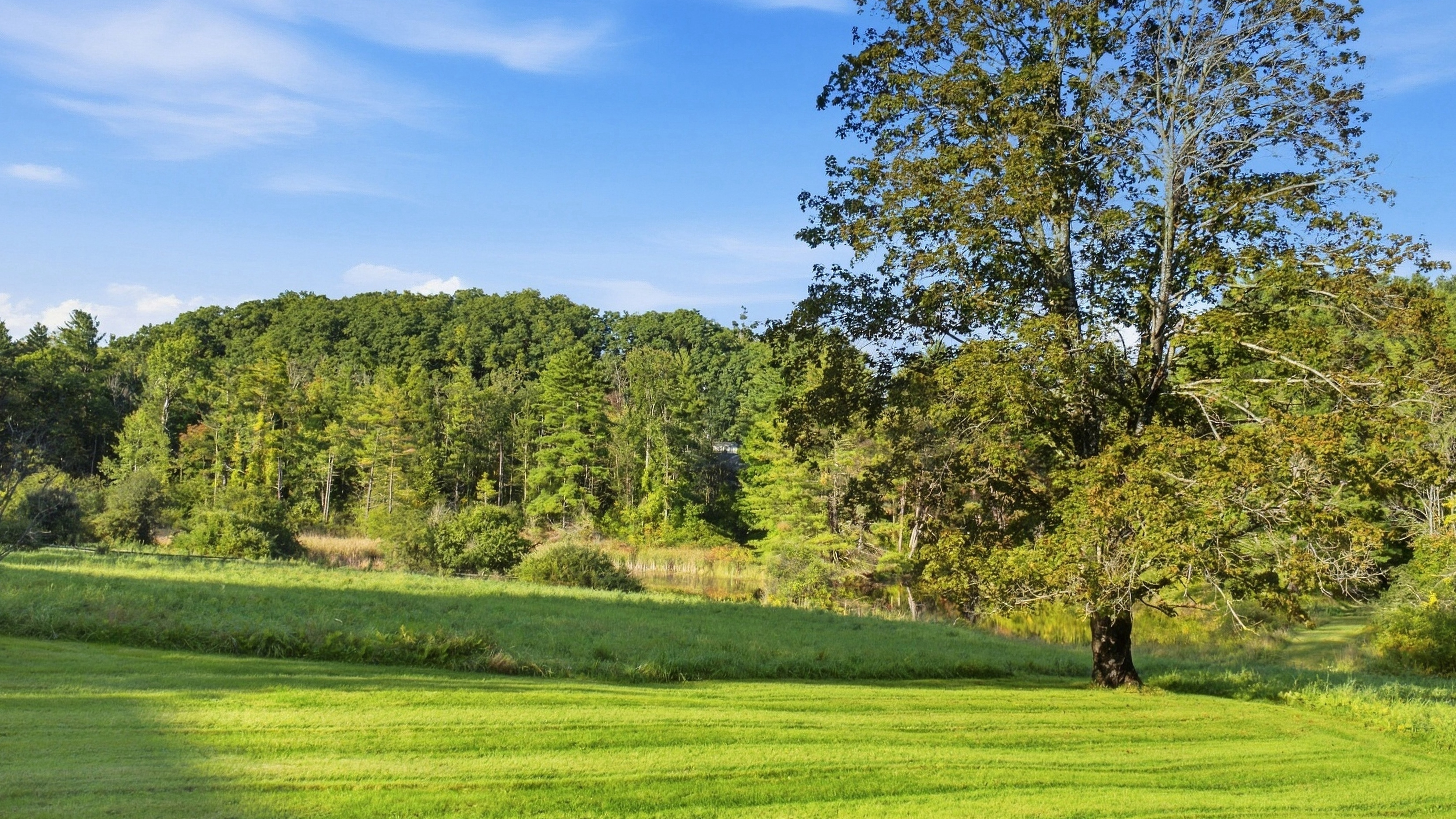  Richmond Estate Near Tanglewood: 5+ Acres, Pond Access, & Bonus Suite - 物件實景