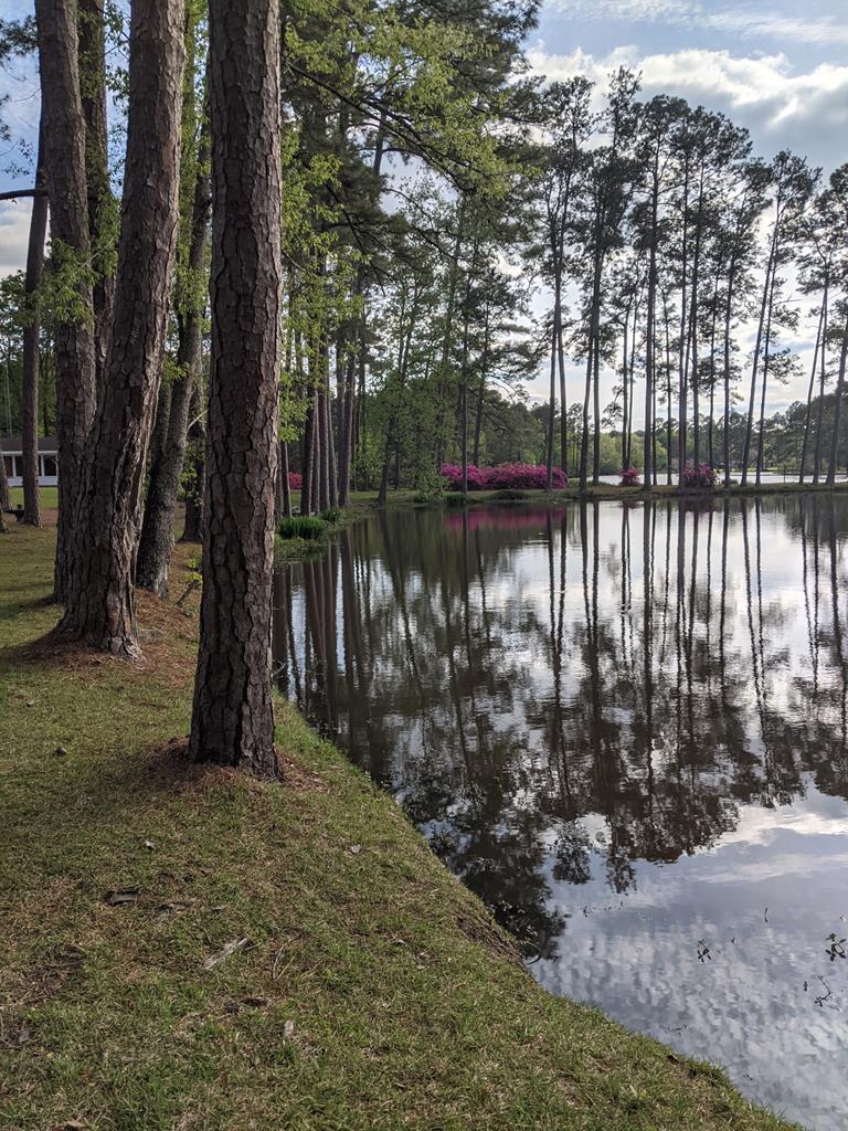 Chula, Georgia, 31733, United States, 4 Bedrooms Bedrooms, ,4 BathroomsBathrooms,Residential,For Sale,1979714