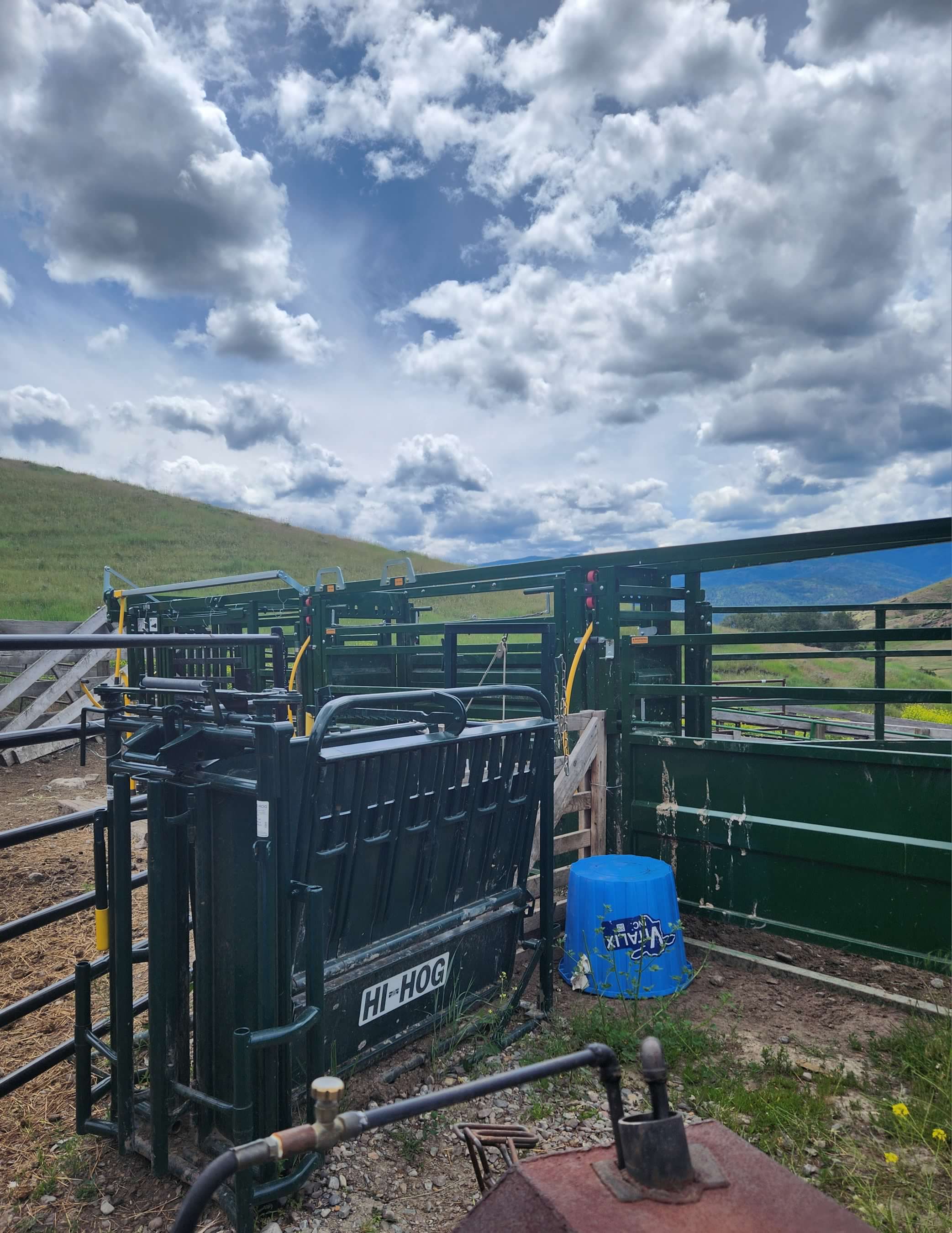 Plains, Montana, 59859, United States, 4 Bedrooms Bedrooms, ,6 BathroomsBathrooms,Residential,For Sale,1894309