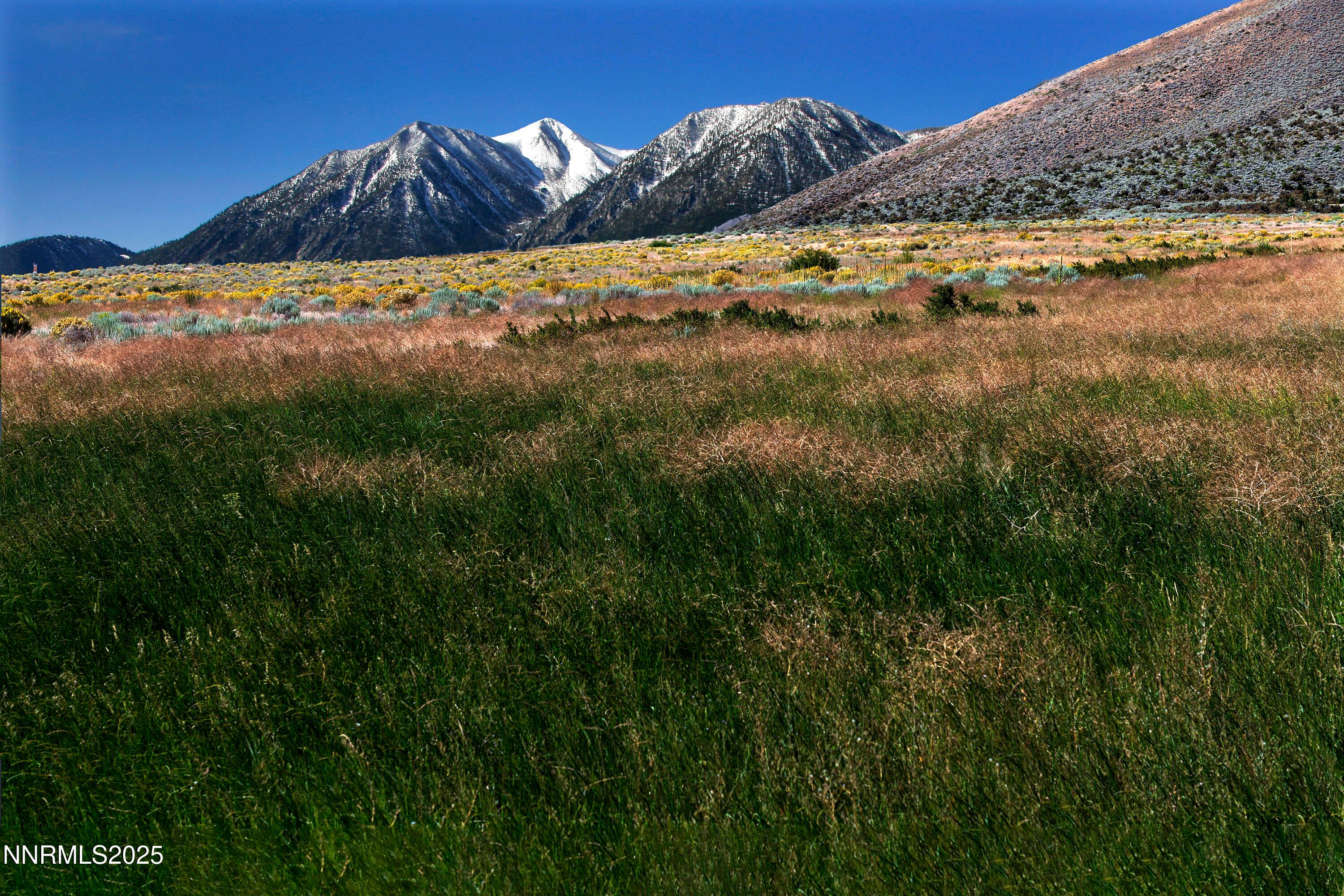 Genoa, Nevada, 89411, United States, ,Residential,For Sale,1939725