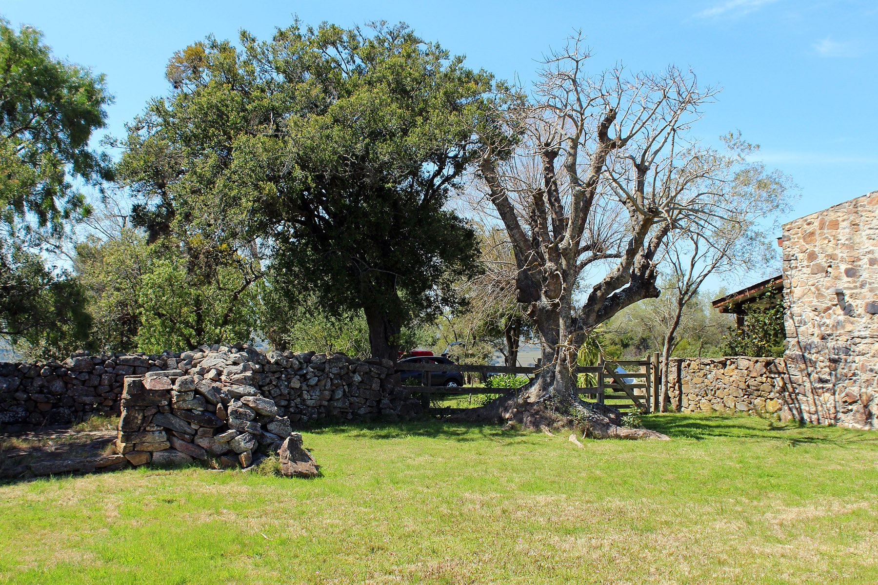 Farm with olive groves in Pueblo Edén - 物件實景