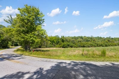 Blairsville, Georgia, 30512, United States, ,Land,For Sale,1933654