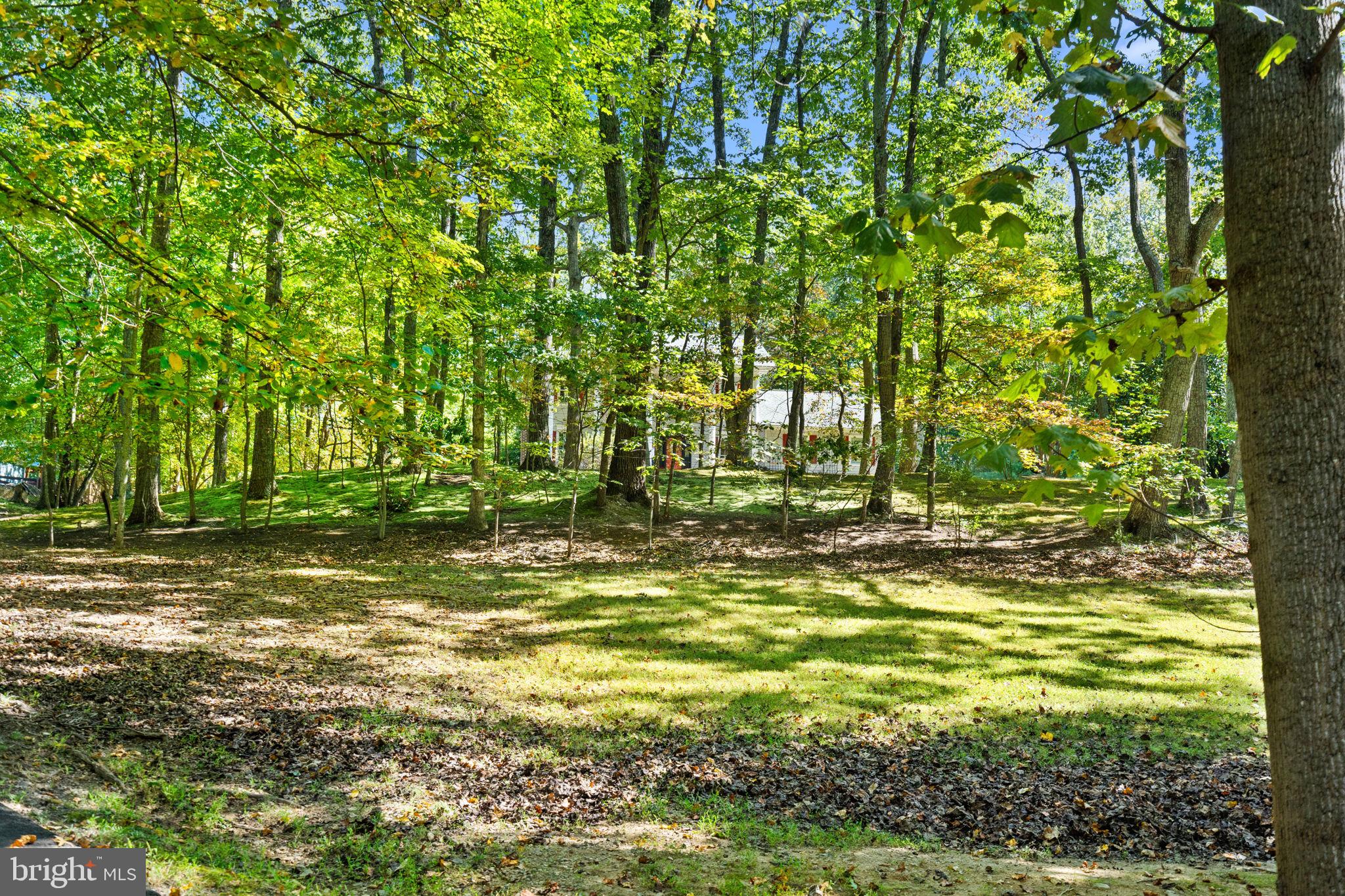 Warrenton, Virginia, 20187, United States, 4 Bedrooms Bedrooms, ,4 BathroomsBathrooms,Residential,For Sale,1976387