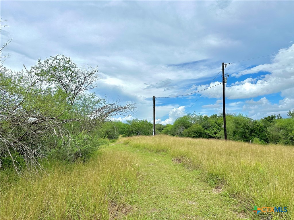 Nursery, Texas, 77976, United States, ,Land,For Sale,1885536