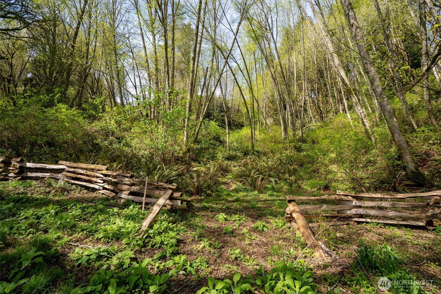 Port Orchard, Washington, 98367, United States, ,Land,For Sale,1767401