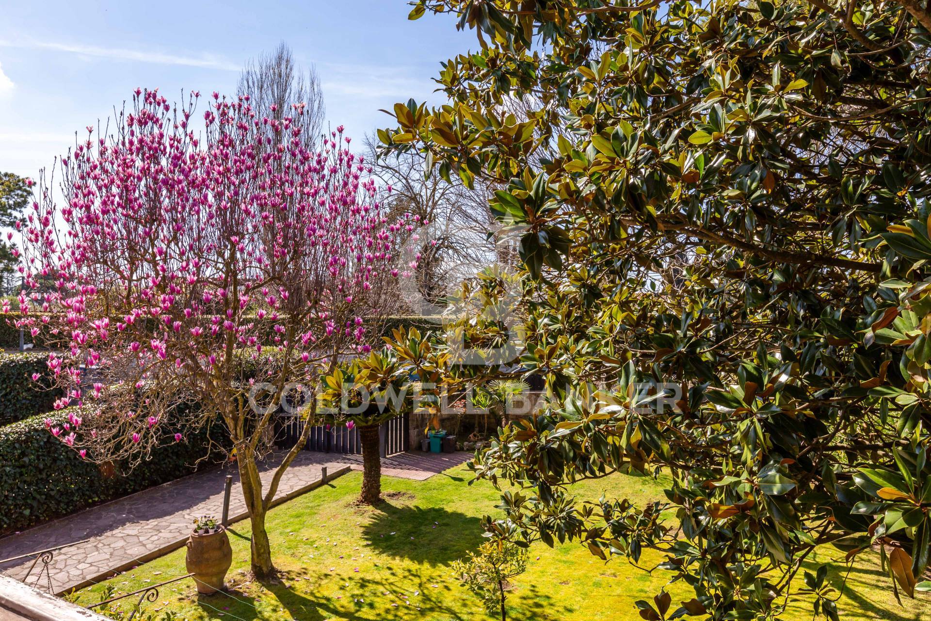 Castel De' Ceveri-casal De' Ceveri RM, Formello, Roma, 00060, IT, 4 Bedrooms Bedrooms, ,4 BathroomsBathrooms,Residential,For Sale,Castel De' Ceveri-casal De' Ceveri RM,1613377