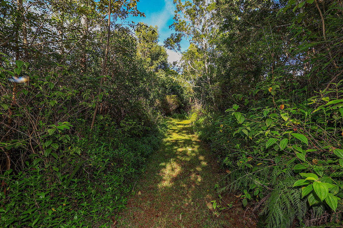 6828-B KUAMOO RD 2, Kapaa, Hawaii, 96746, United States, ,Land,For Sale,6828-B KUAMOO RD 2,1672725