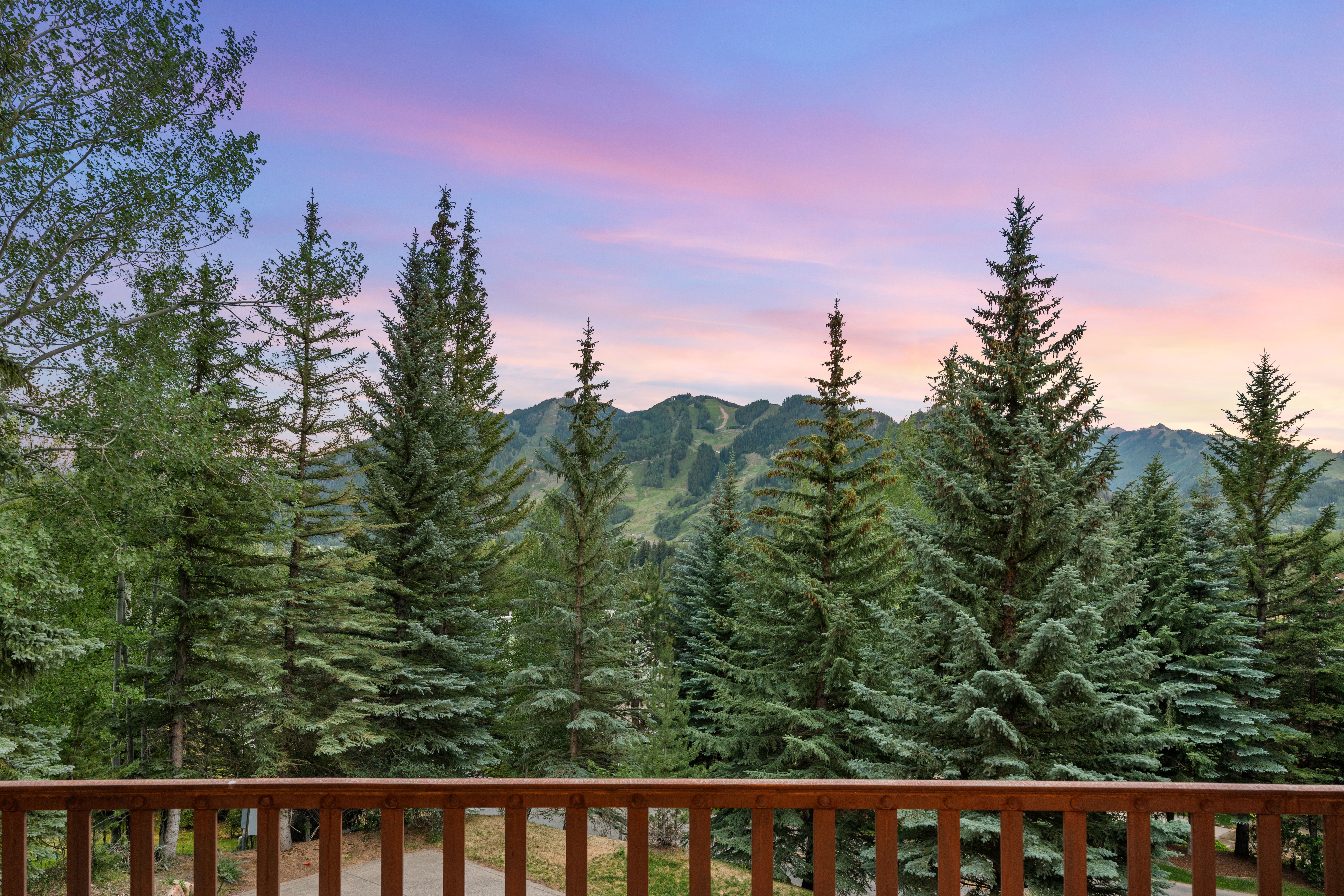  Prestigious Willoughby Way Mountain Home - 物件實景