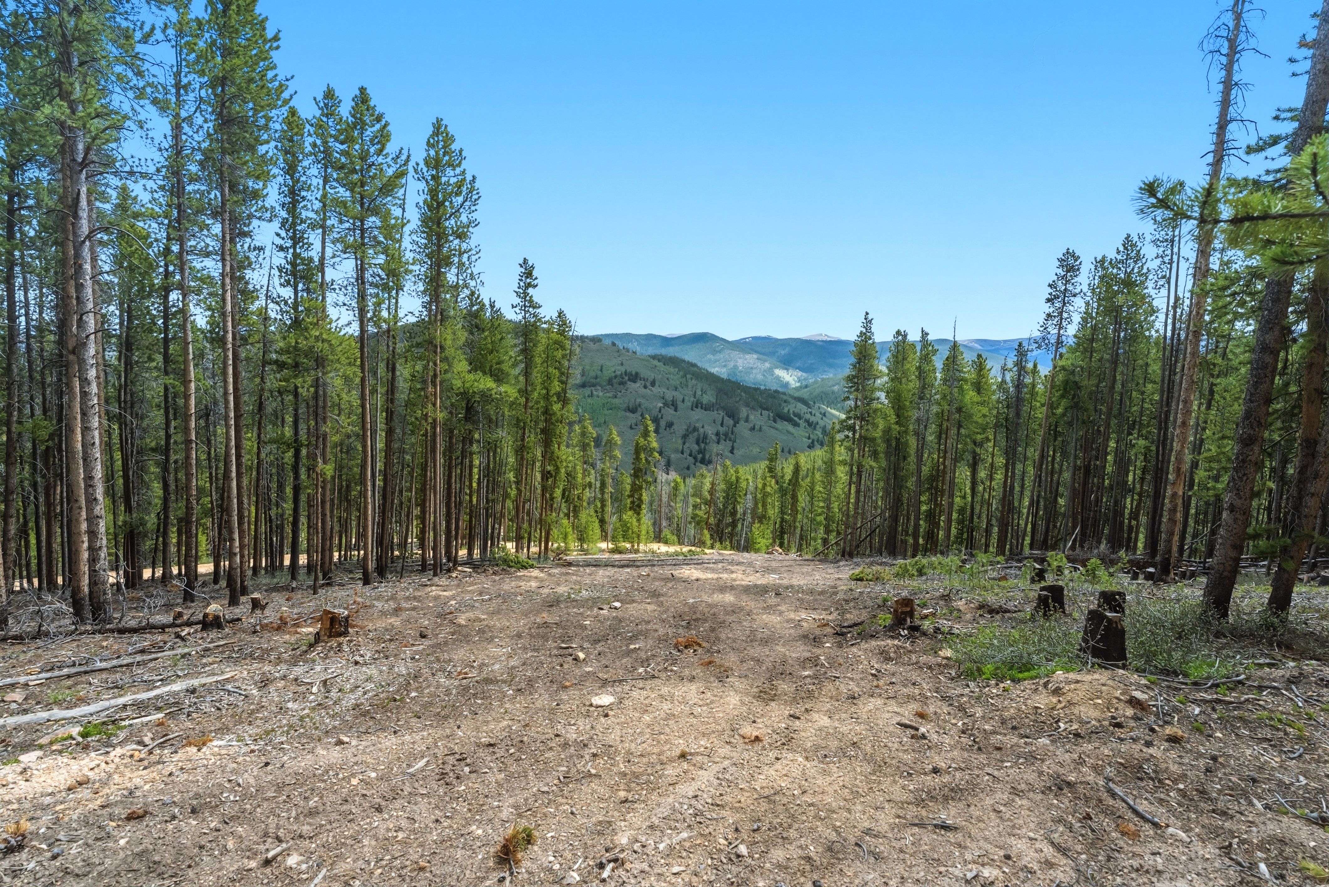  653 Summit Gulch Road, Breckenridge, CO, 80424 - 物件實景