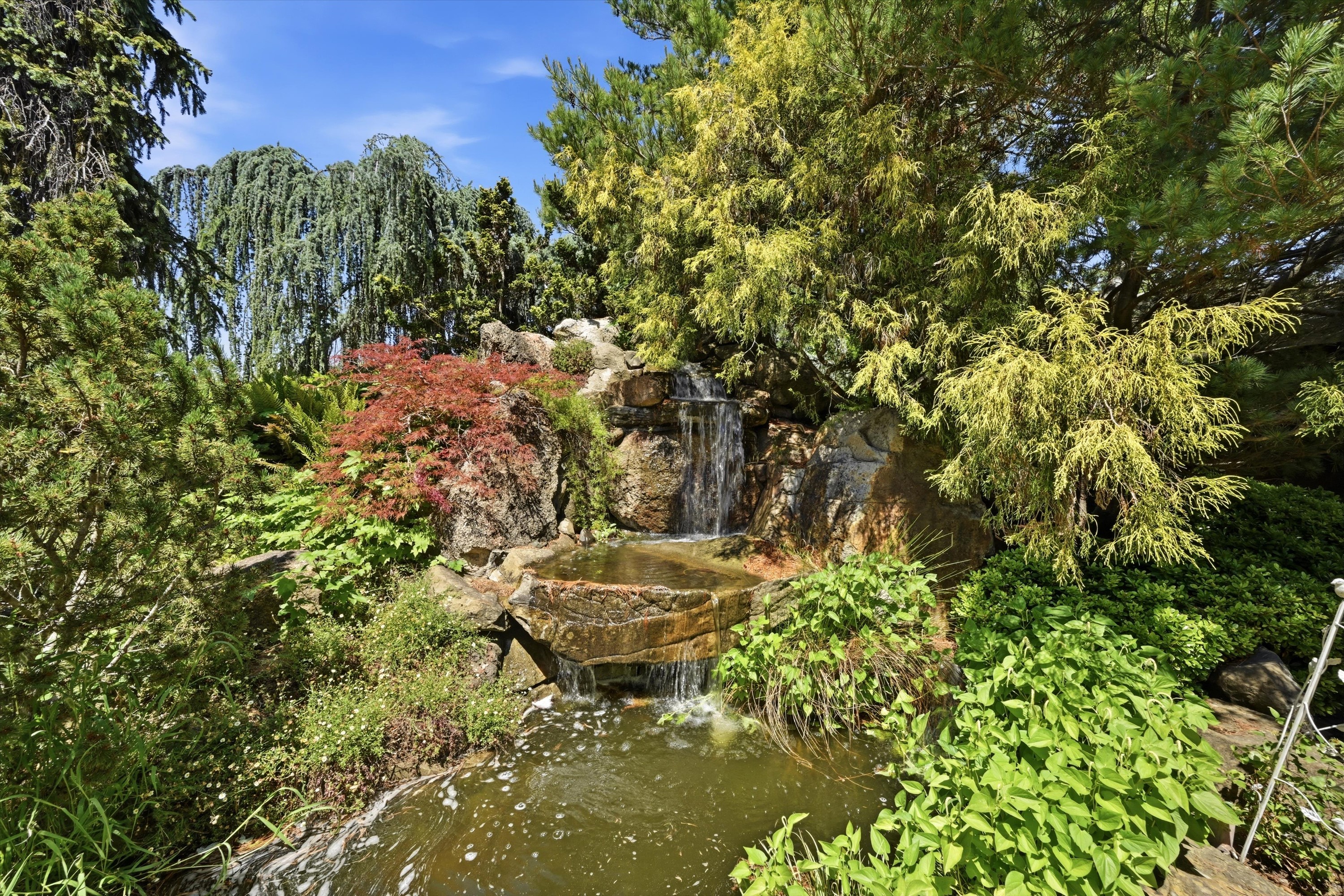  Wine Country Ranch Living - 物件實景
