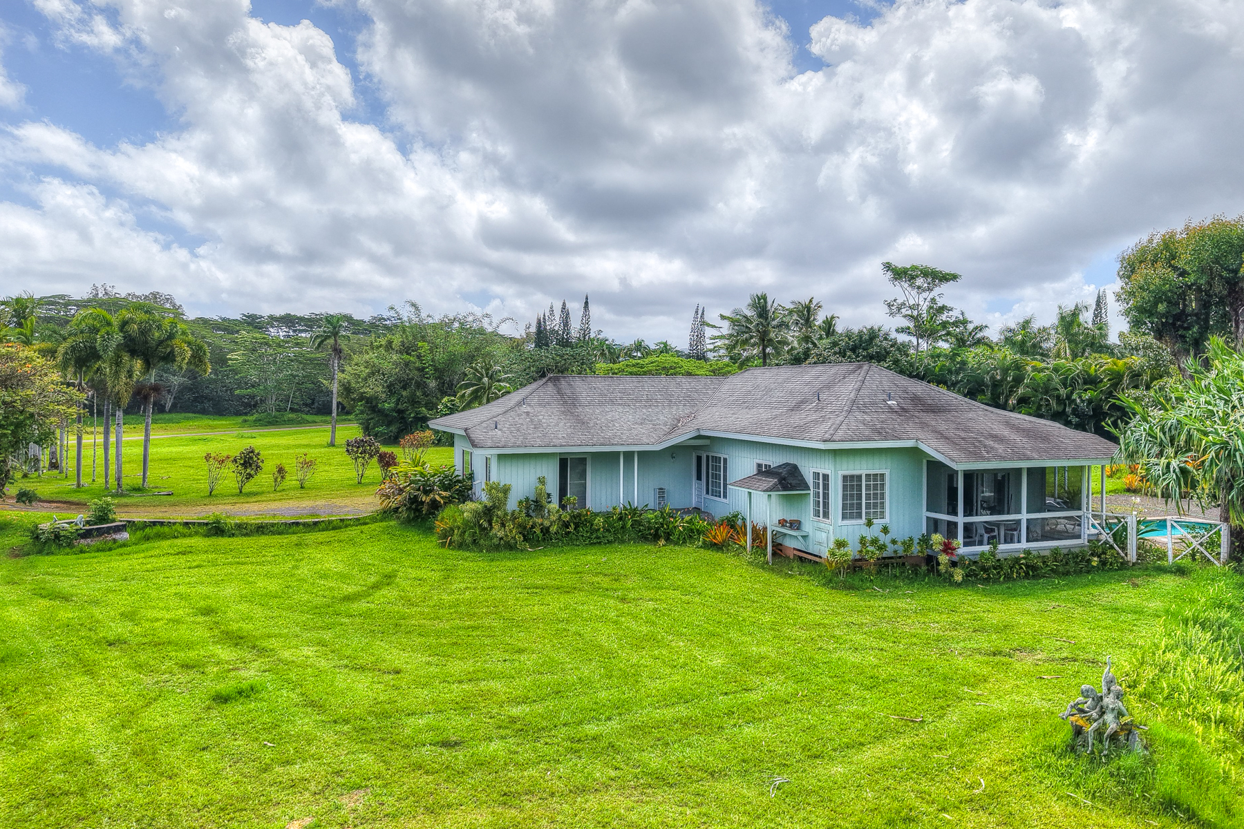  5250-D Kahiliholo Rd, Kilauea, HI, 96754 - 物件實景
