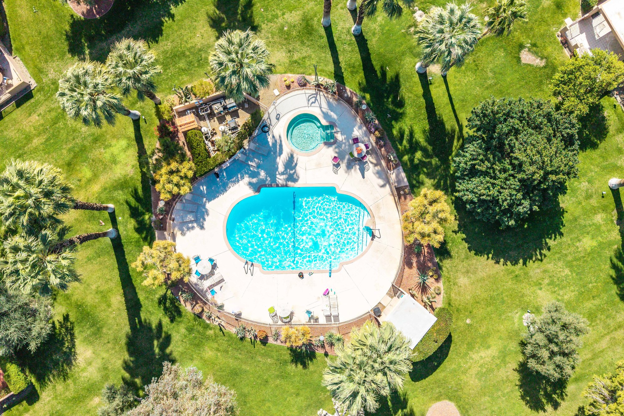  Mid-Century Fixer in Palm Springs Country Club - 物件實景