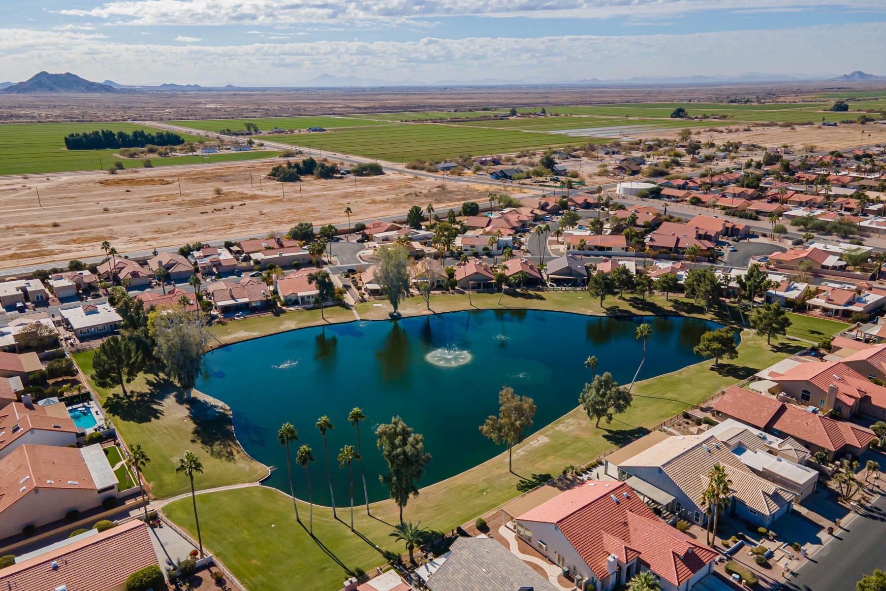  26202 S Flame Tree Drive  Sun Lakes, AZ - 物件實景