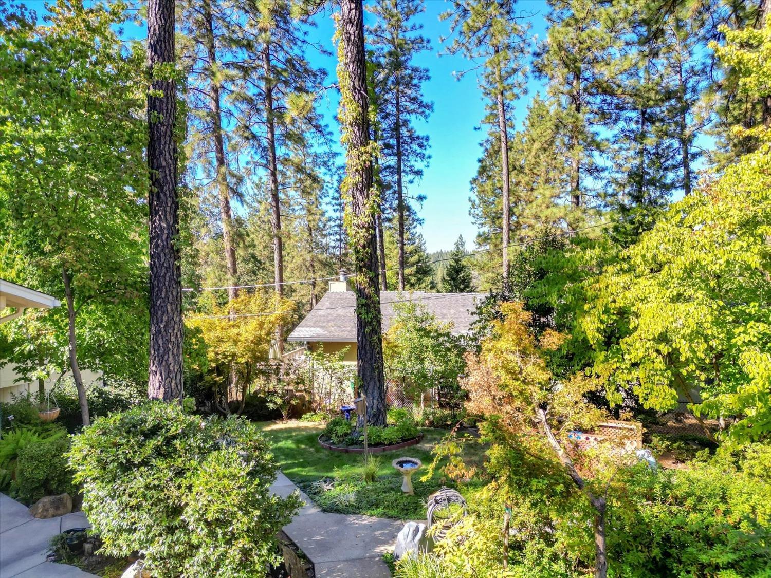 12252 Francis Drive, Grass Valley, California, 95949, United States, 3 Bedrooms Bedrooms, ,2 BathroomsBathrooms,Residential,For Sale,12252 Francis Drive,1631801