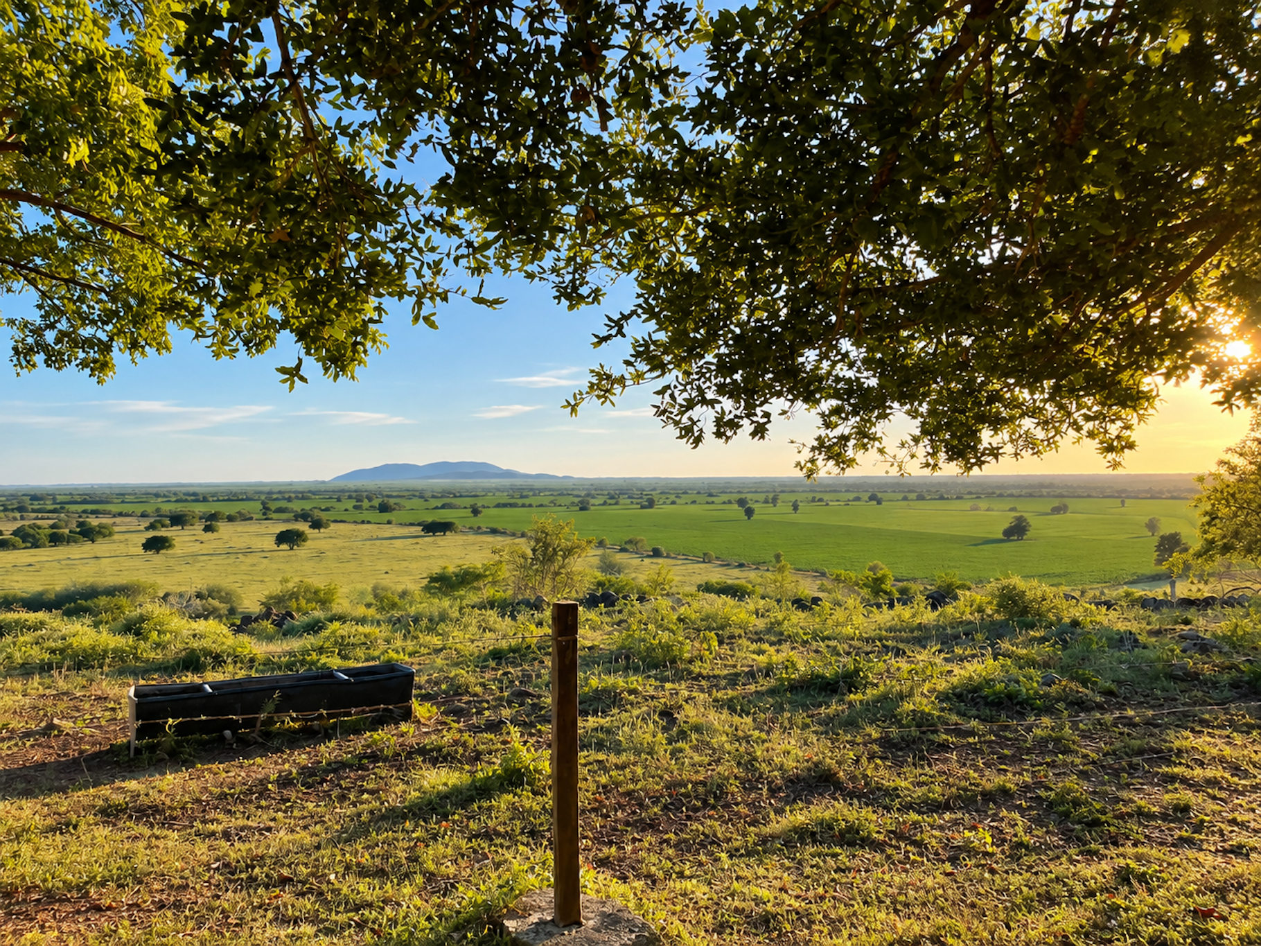  Expansive Ranch with Agricultural Land and Water Resources - 物件實景