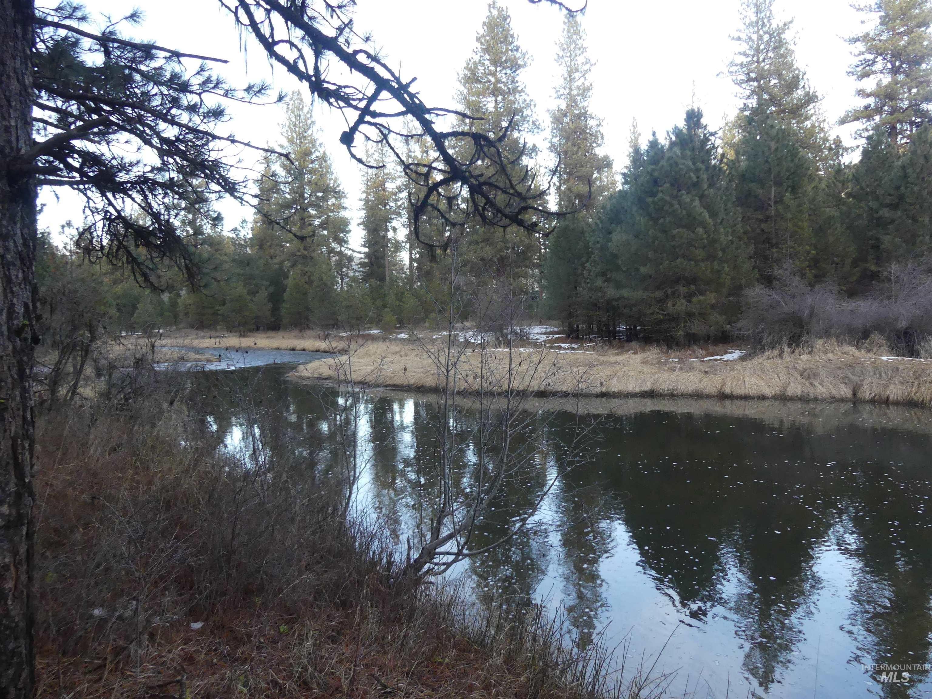 New Meadows, Idaho, 83654, United States, ,Land,For Sale,2006216