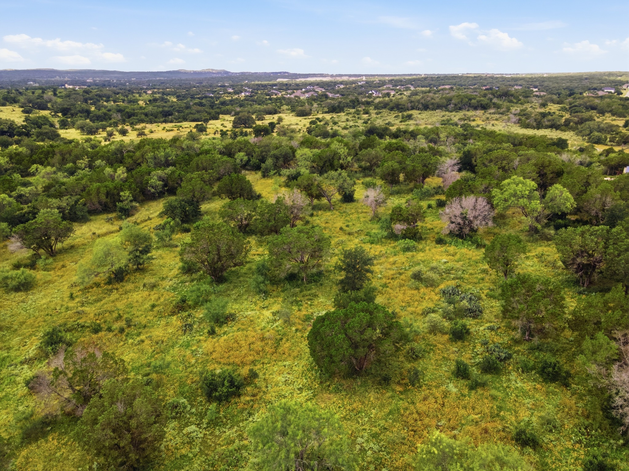  16 Acres in Spicewood - 物件實景
