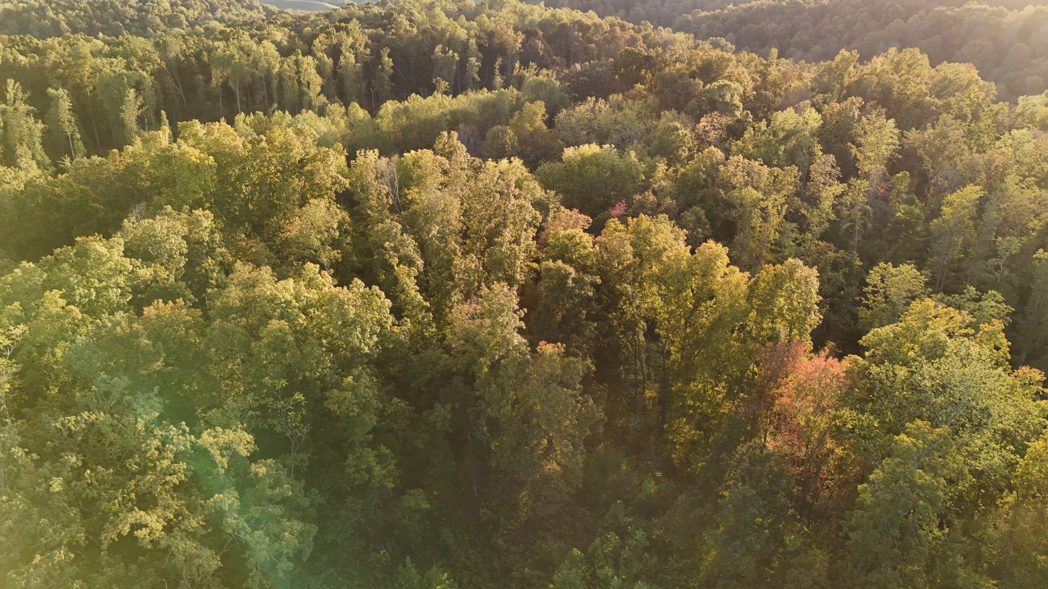 Lynchburg, Tennessee, 37388, United States, ,Land,For Sale,1982223