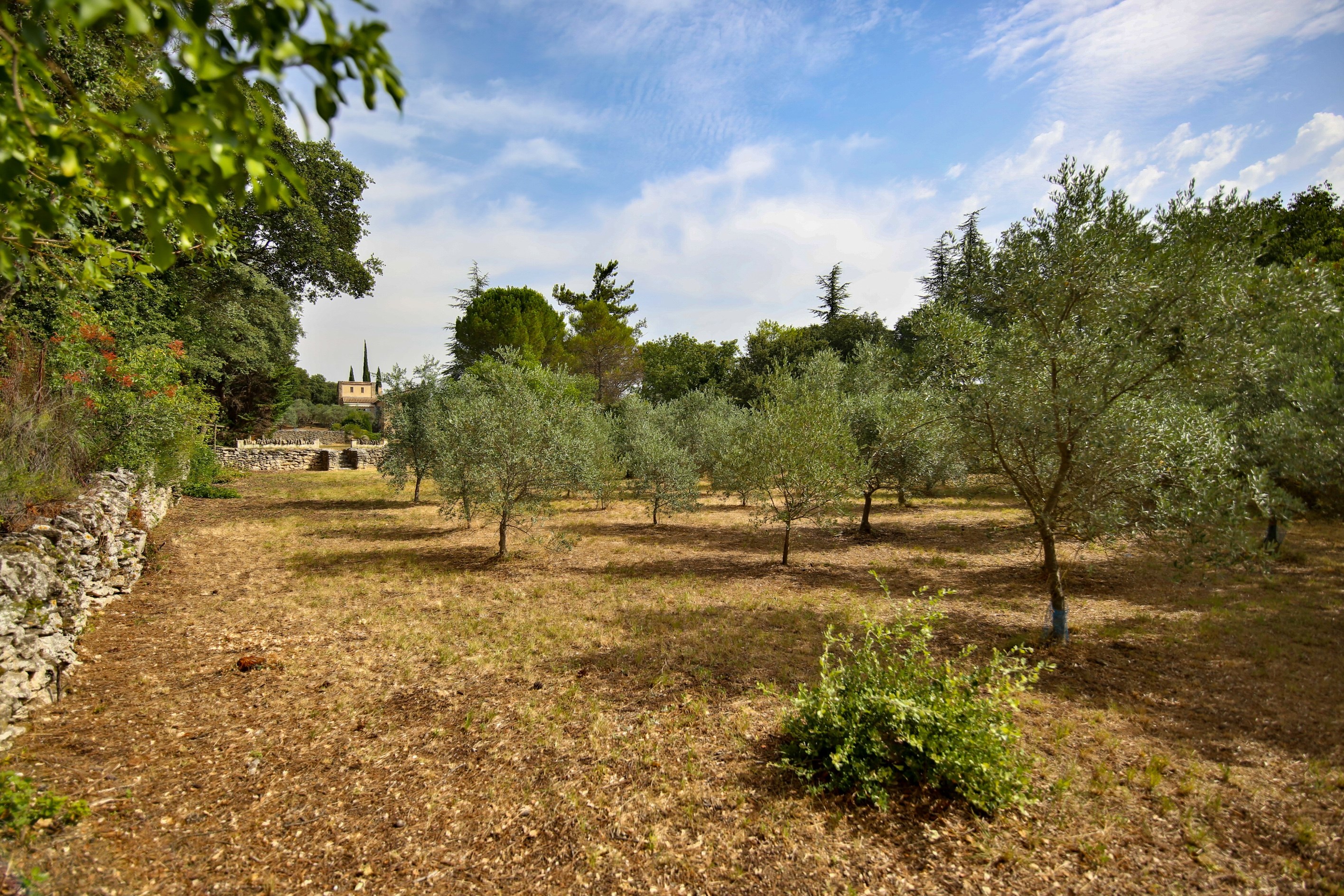  Exceptional building plot in Gordes - 物件實景