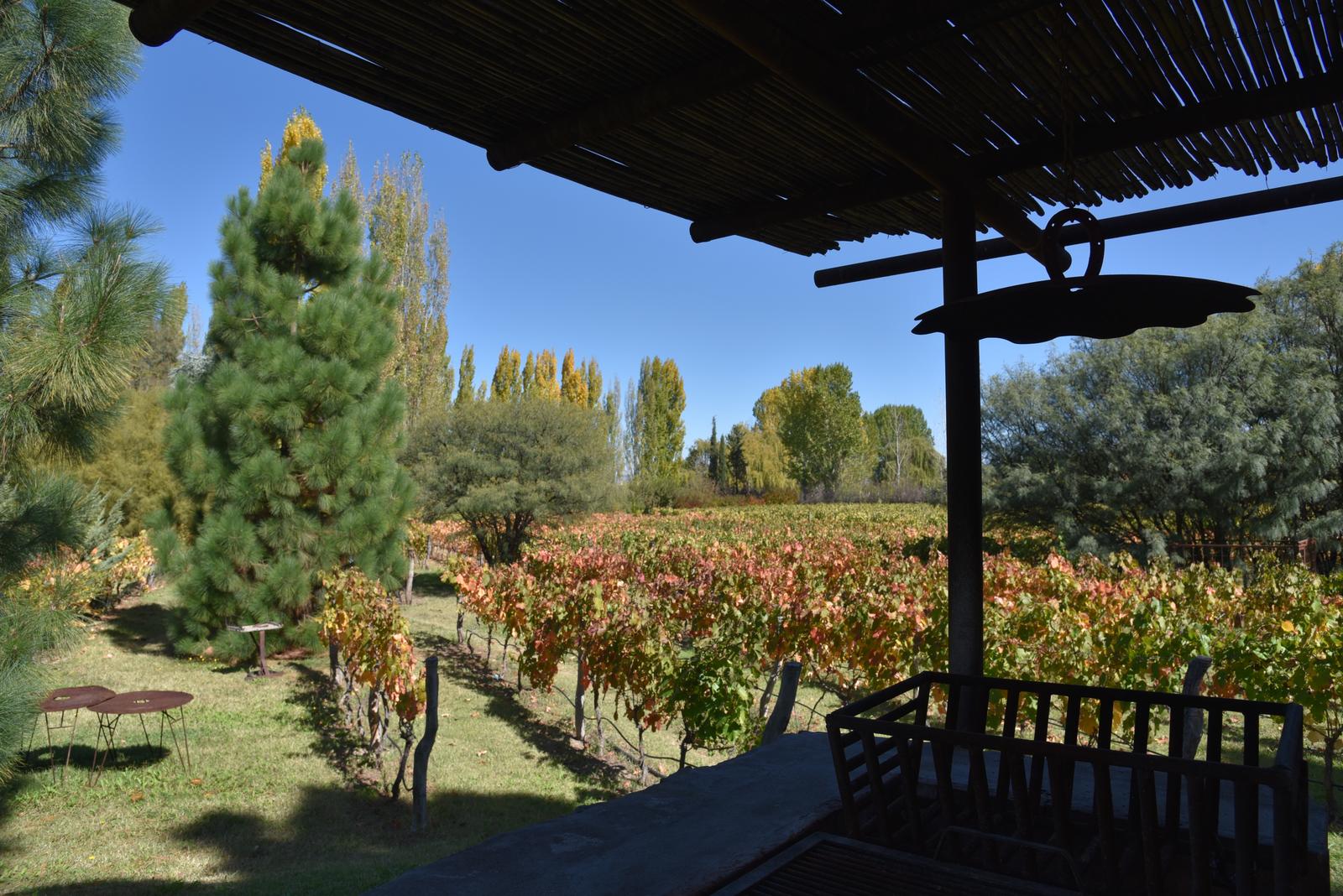 Lujan De Cuyo, AR-M, AR, 5 Bedrooms Bedrooms, ,8 BathroomsBathrooms,Residential,For Sale,1999071