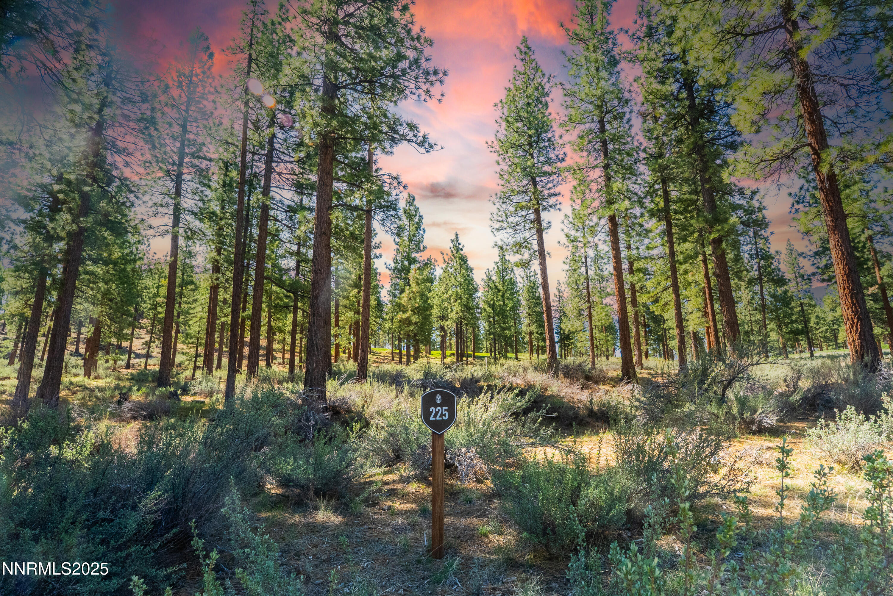 Carson City, Nevada, 89705, United States, ,Land,For Sale,1846834