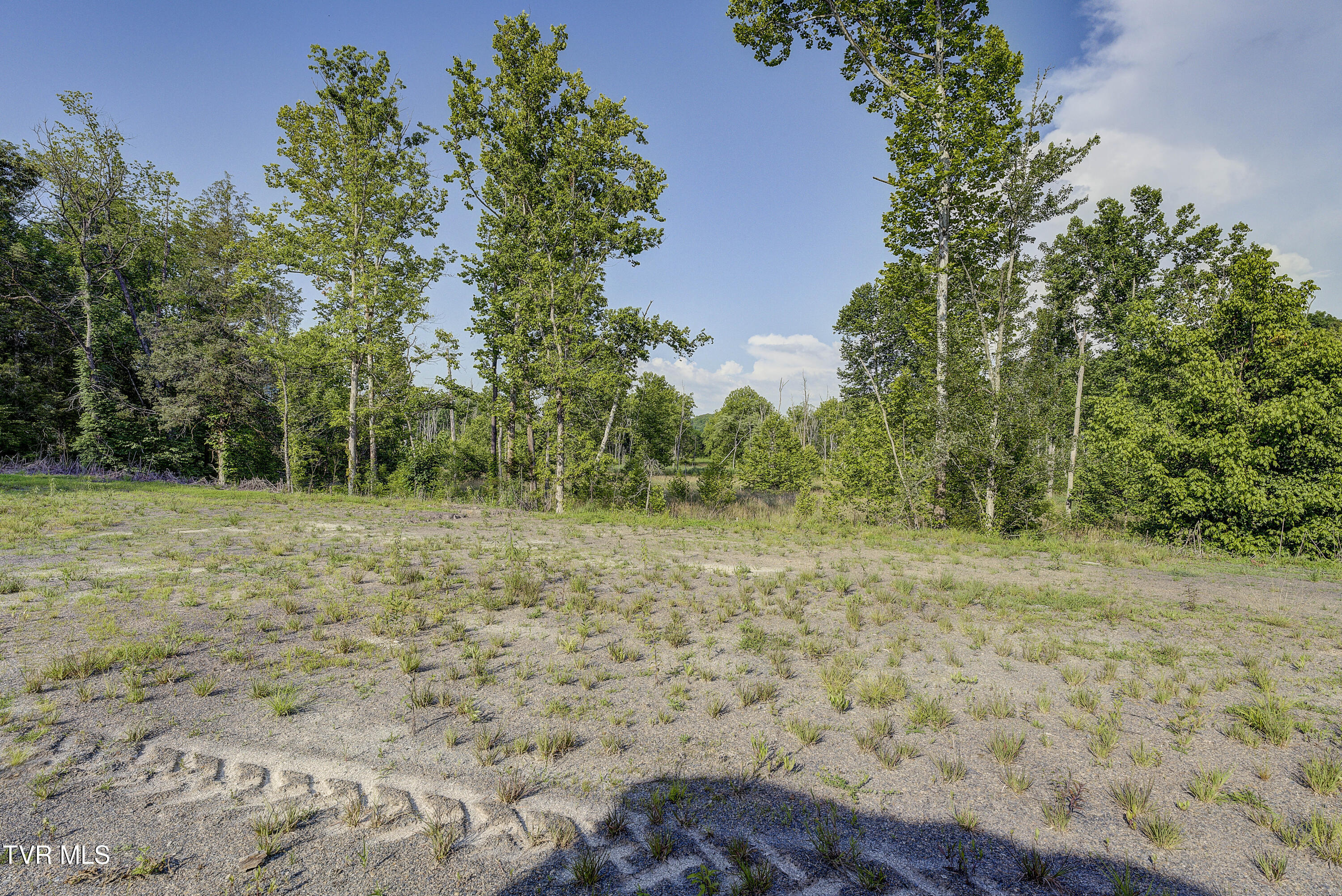 Piney Flats, Tennessee, 37686, United States, ,Land,For Sale,1983828