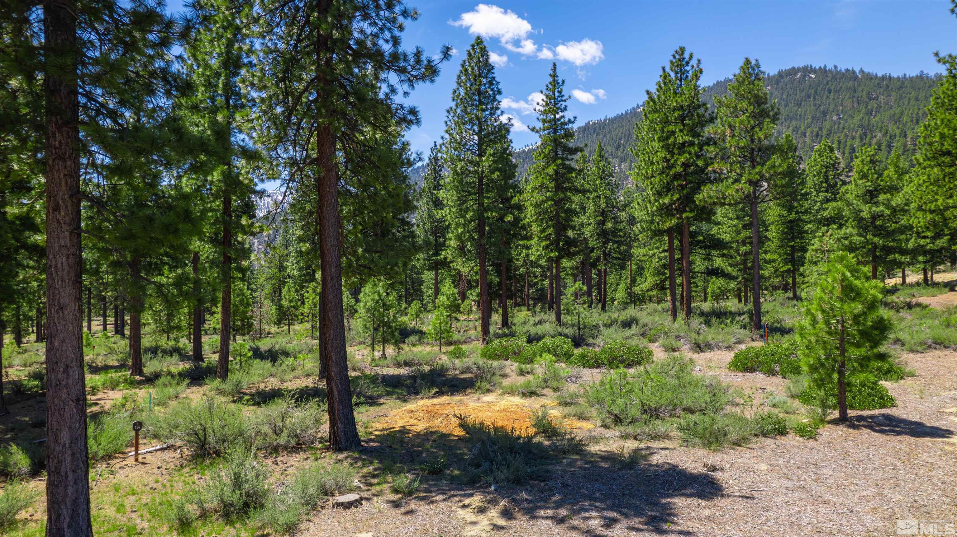 Carson City, Nevada, 89705, United States, ,Land,For Sale,1826407
