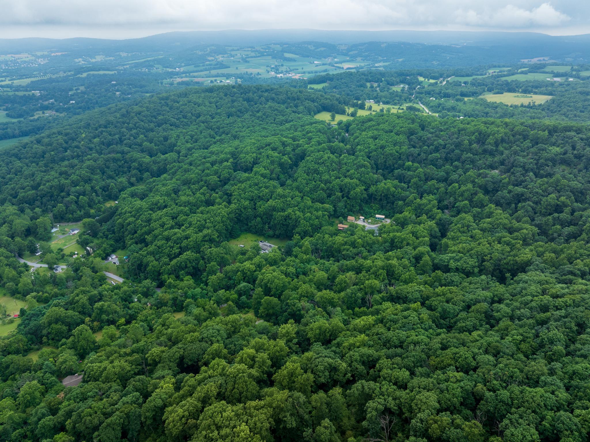  4617 Fishers Hollow Road, Myersville, MD, 21773 - 物件實景