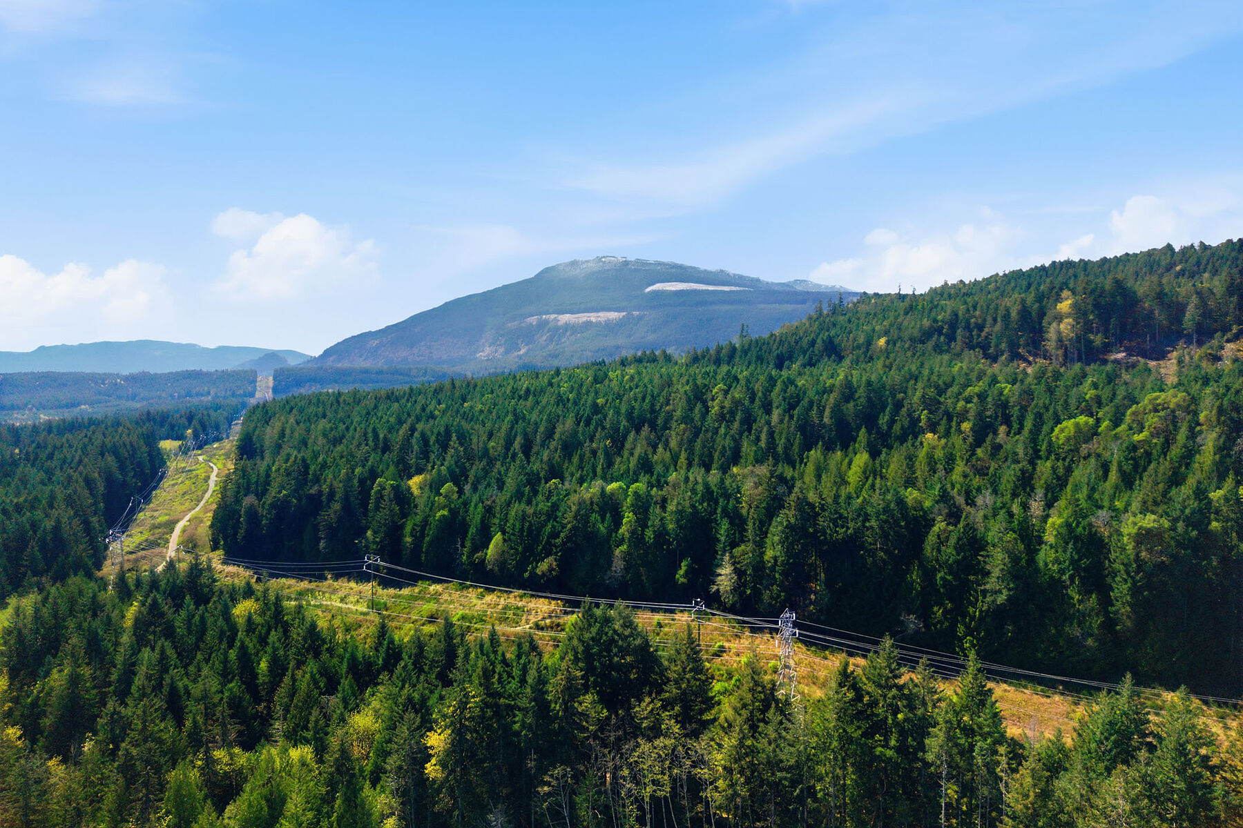  Thoughtfully Designed Space - 物件實景