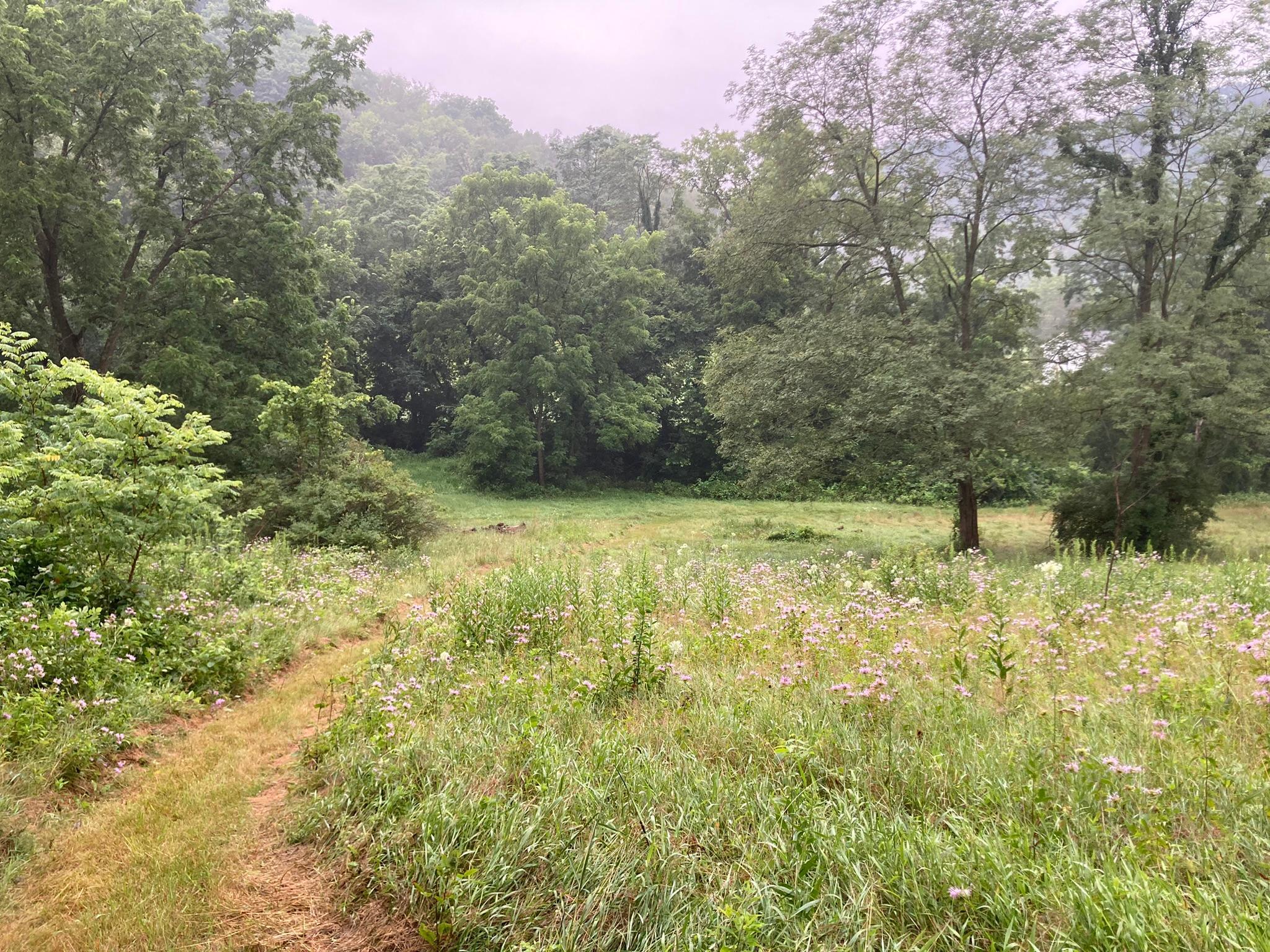 Winona, Minnesota, 55987, United States, 5 Bedrooms Bedrooms, ,2 BathroomsBathrooms,Residential,For Sale,2005788