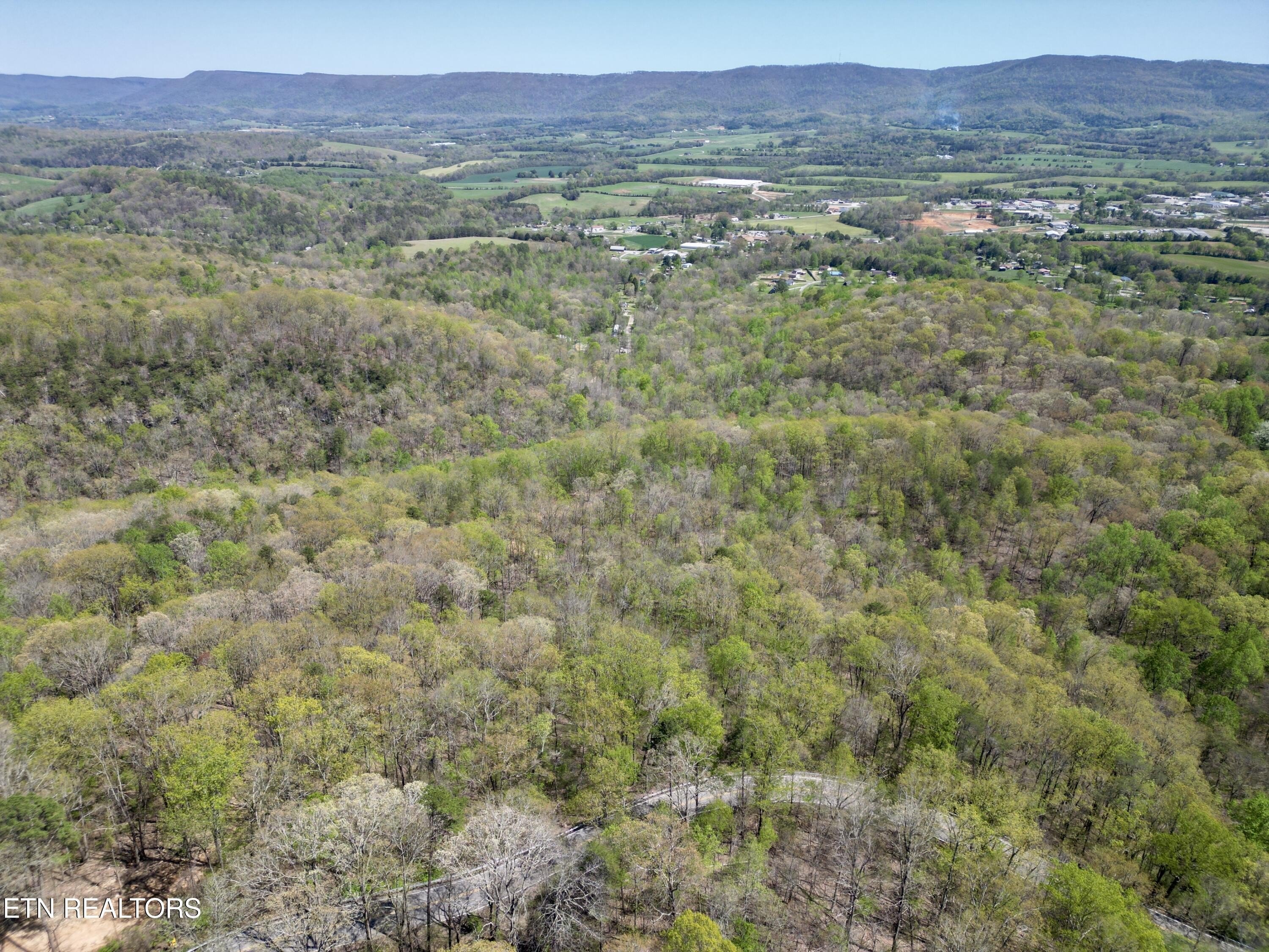 Pikeville, Tennessee, 37367, United States, ,Land,For Sale,1975616