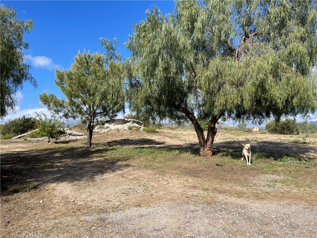 Hemet, California, 92544, United States, 4 Bedrooms Bedrooms, ,2 BathroomsBathrooms,Residential,For Sale,1923970