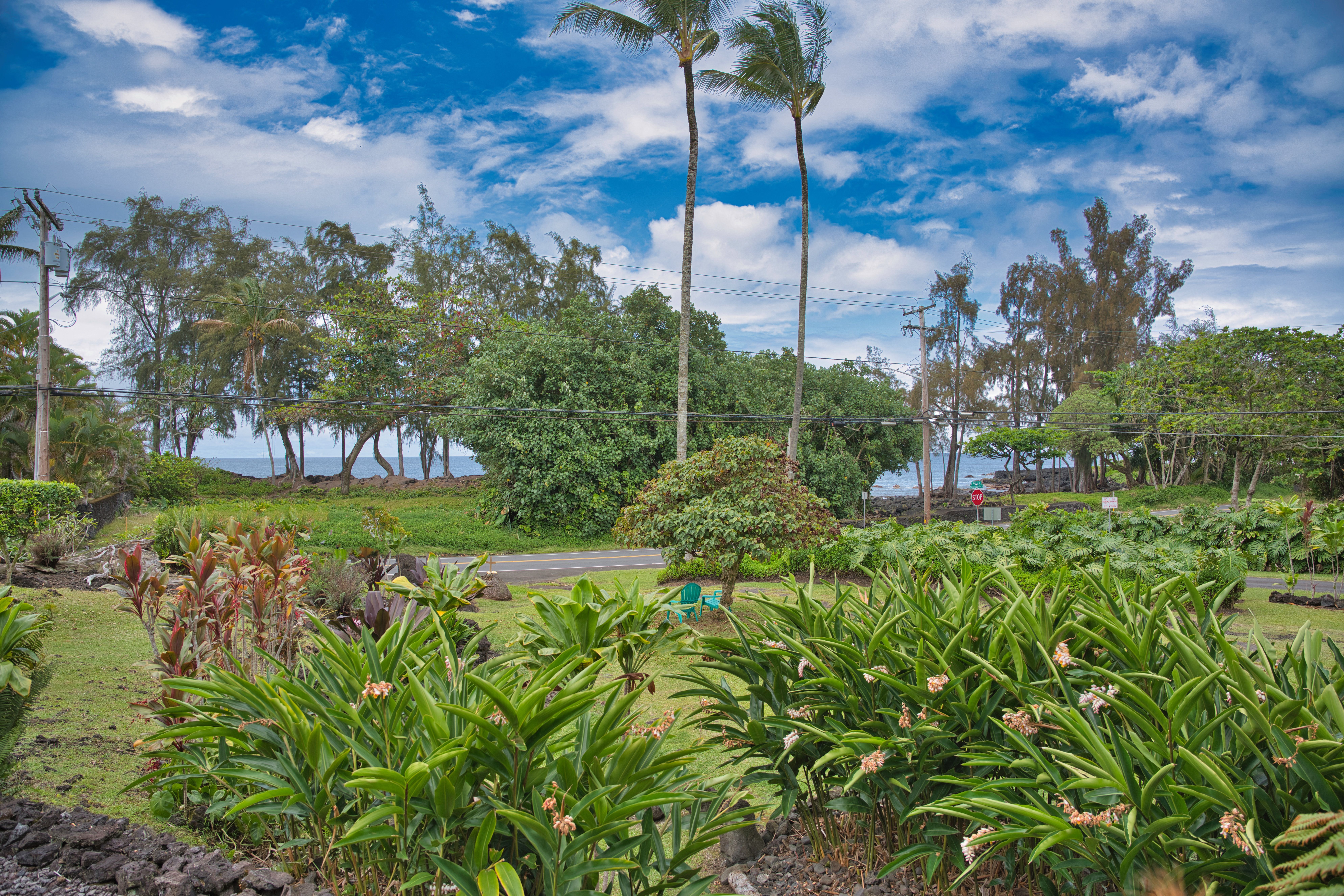  2070 Kalanianaole St, Hilo, HI, 96720 - 物件實景