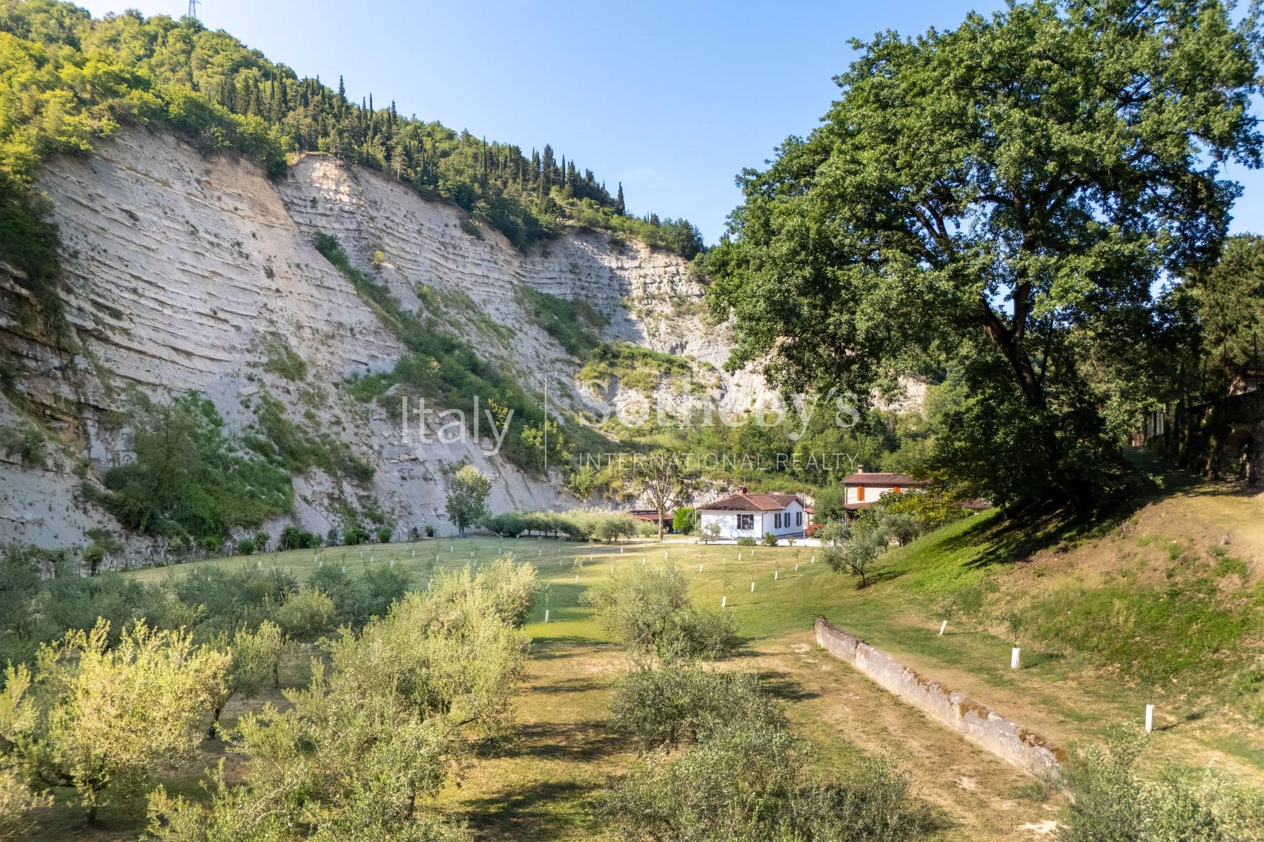  Villa with guest house and private park in the heart of Romagna - 物件實景