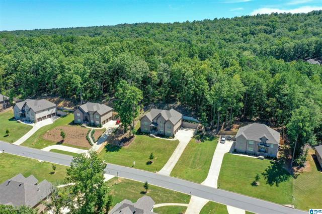 Pelham, Alabama, 35124, United States, 5 Bedrooms Bedrooms, ,3 BathroomsBathrooms,Residential,For Sale,1977280