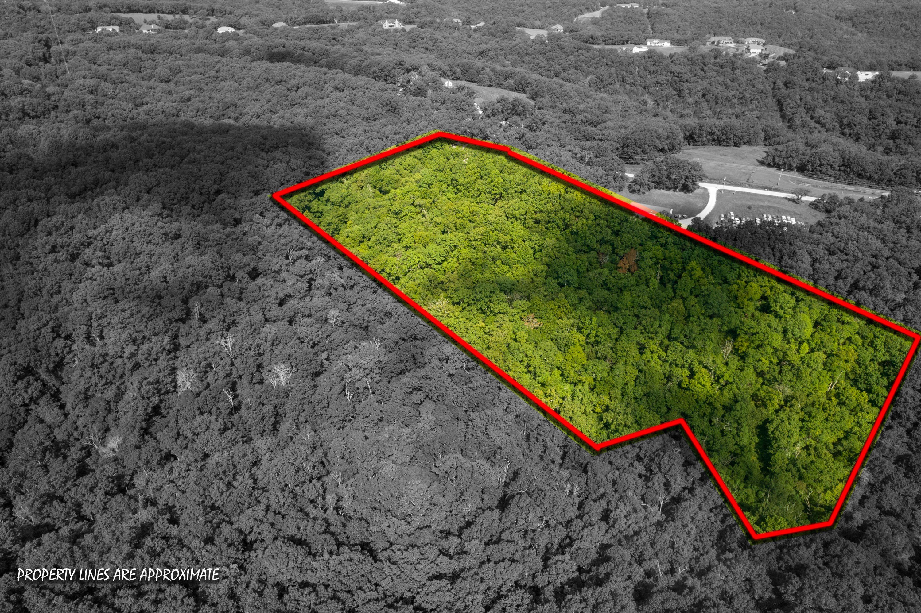 Walnut Shade, Missouri, 65771, United States, 6 Bedrooms Bedrooms, ,5 BathroomsBathrooms,Residential,For Sale,1975828