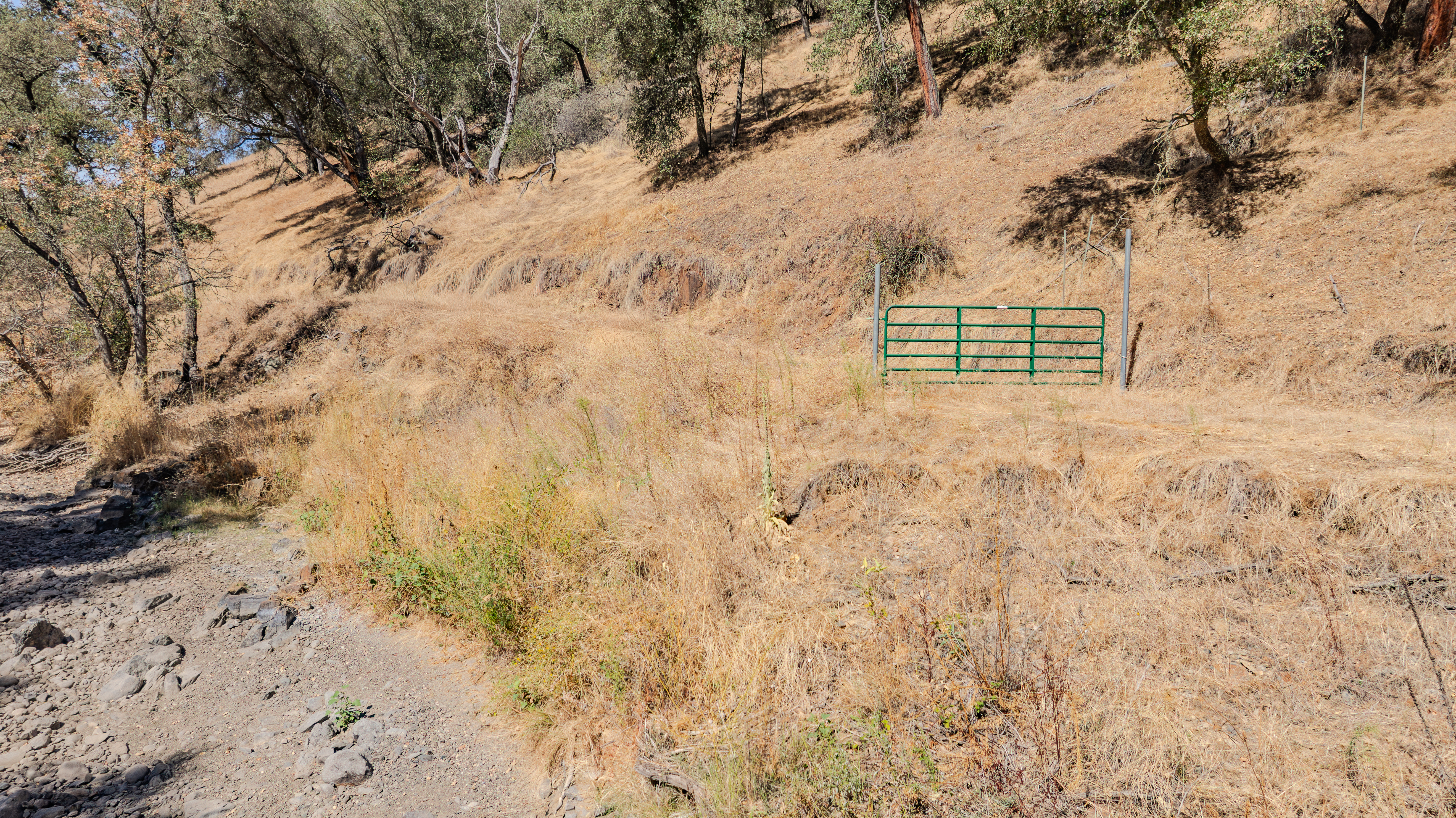  Creek Frontage - Views - Stroll to Downtown Sutter Creek - 物件實景