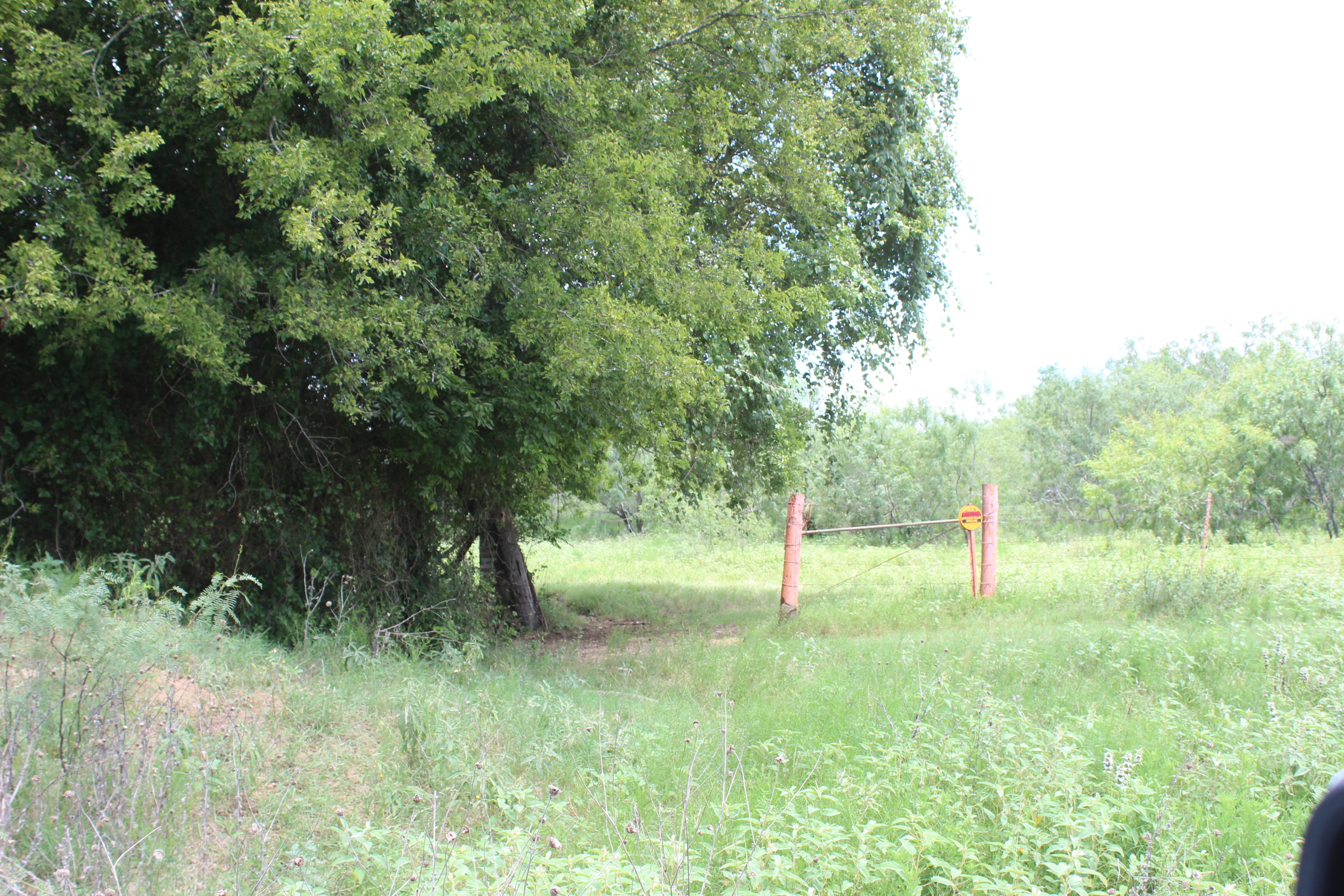  Buck Branch Ranch - 物件實景