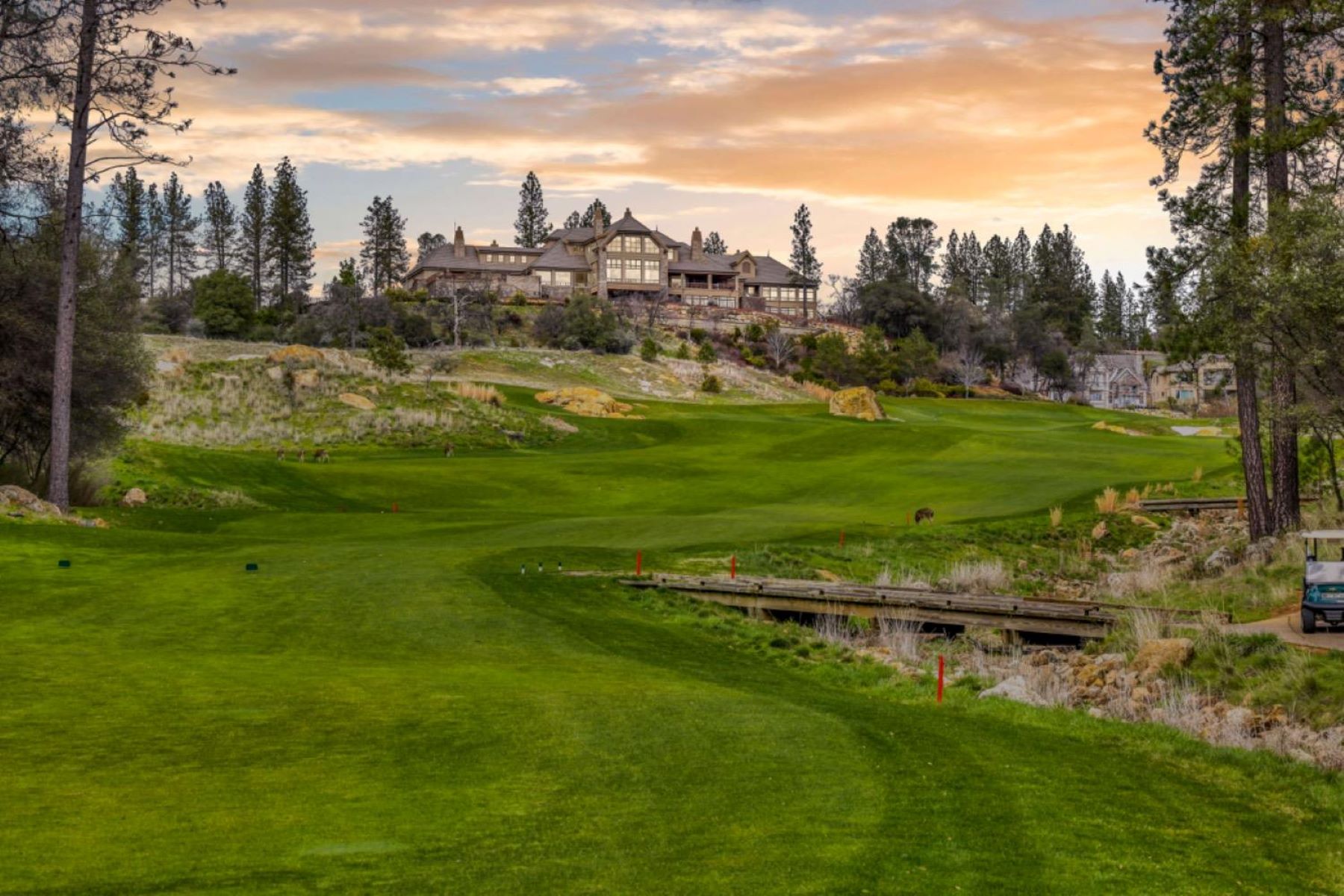  1412 Lodge View Drive, Meadow Vista, CA 95722 - 物件實景