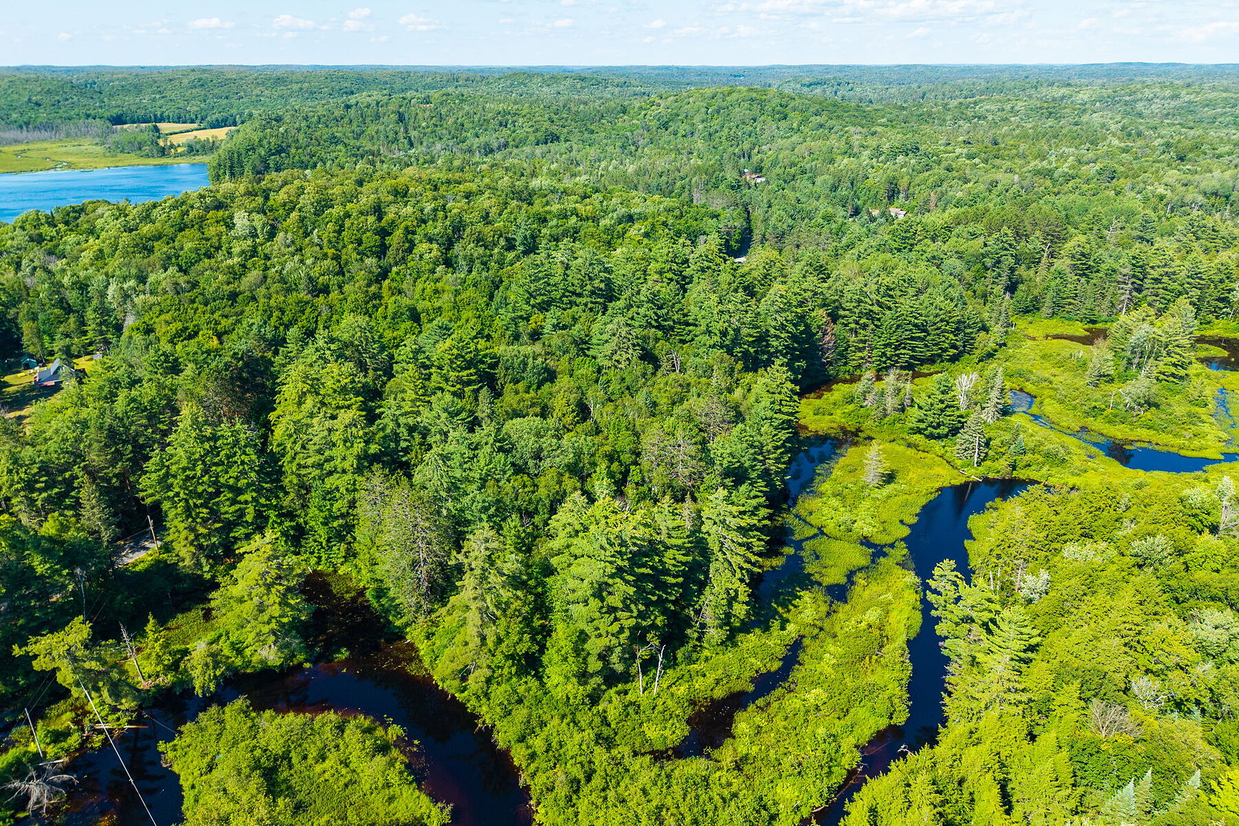  Buck River Huntsville - 物件實景