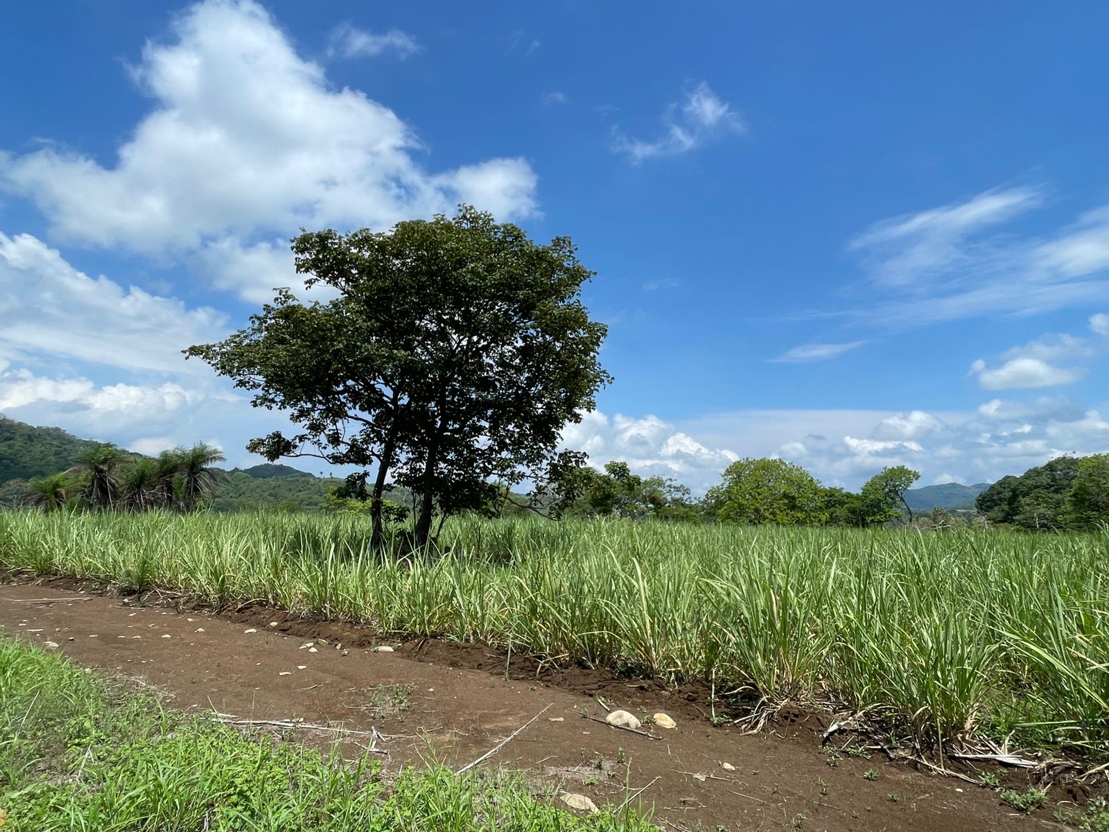 Escobal, Atenas, Atenas, Alajuela, CR, ,Land,For Sale,Escobal, Atenas,1627461