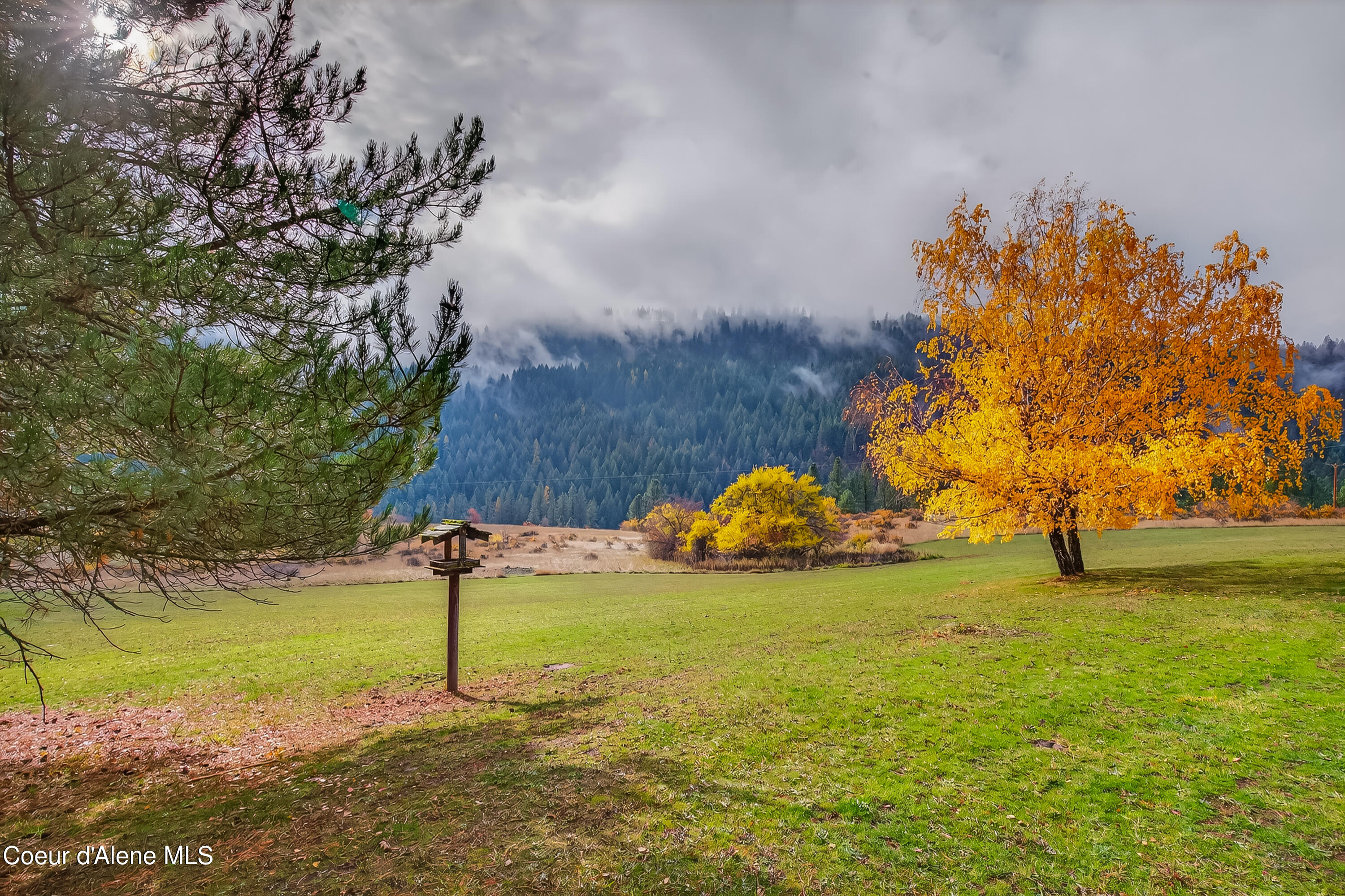 Kendrick, Idaho, 83537, United States, 3 Bedrooms Bedrooms, ,2 BathroomsBathrooms,Residential,For Sale,1977915