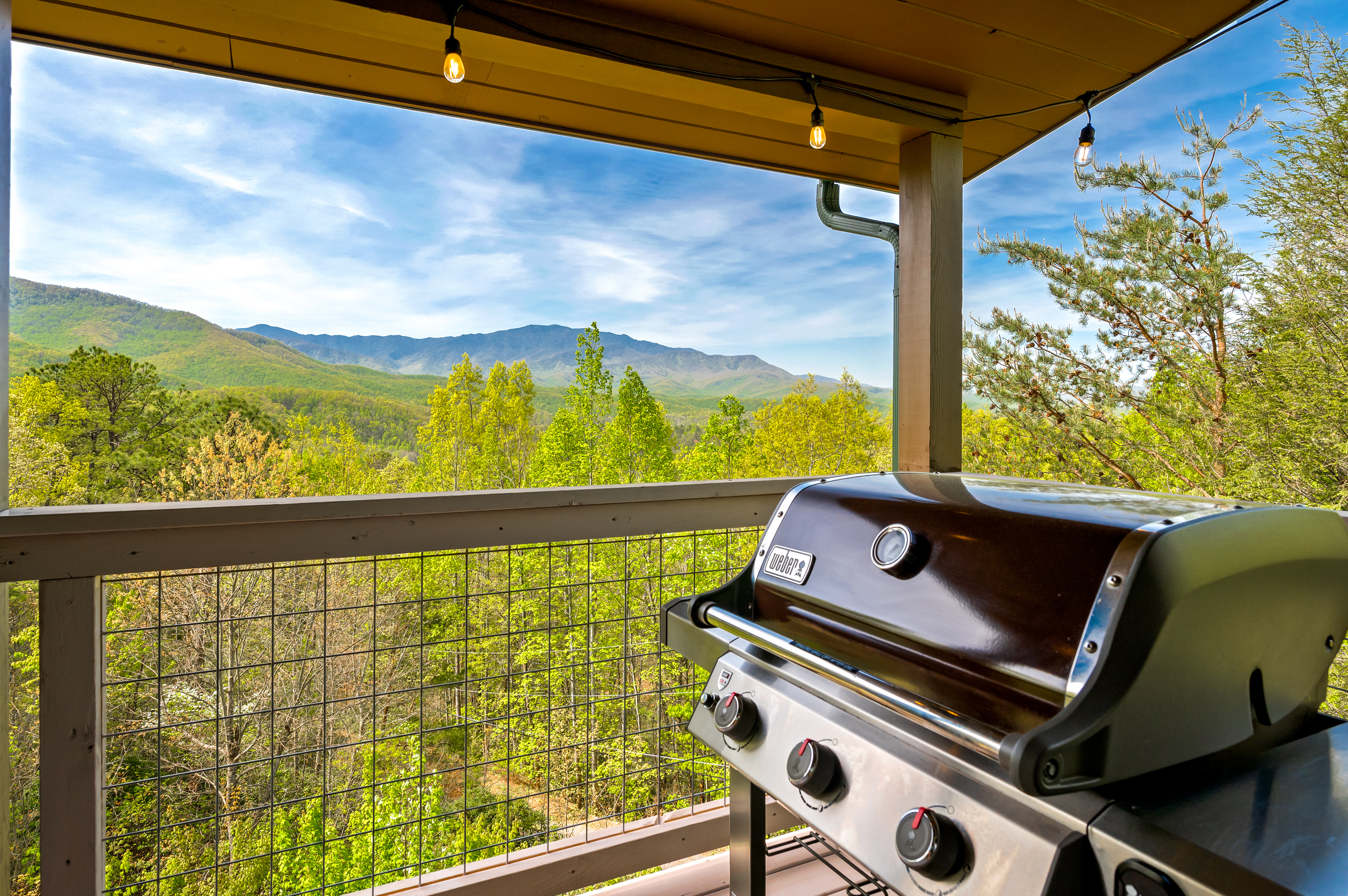 Gatlinburg, Tennessee, 37738, United States, 3 Bedrooms Bedrooms, ,2 BathroomsBathrooms,Residential,For Sale,1987408