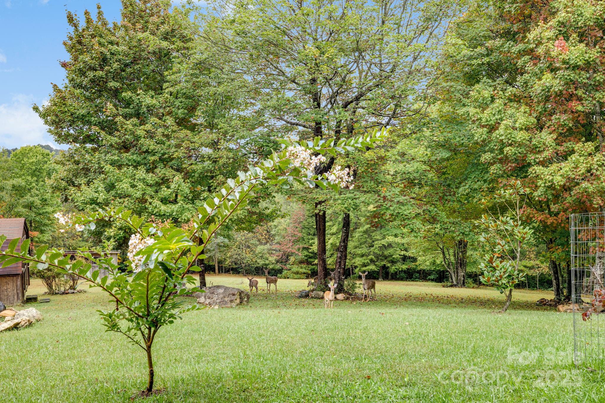 Spruce Pine, North Carolina, 28777, United States, 3 Bedrooms Bedrooms, ,3 BathroomsBathrooms,Residential,For Sale,1991683