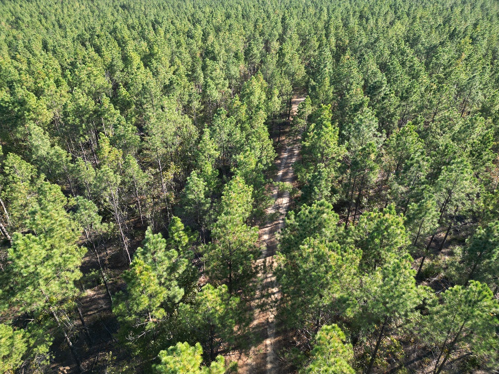 Mena, Arkansas, 71953, United States, ,Land,For Sale,1973758