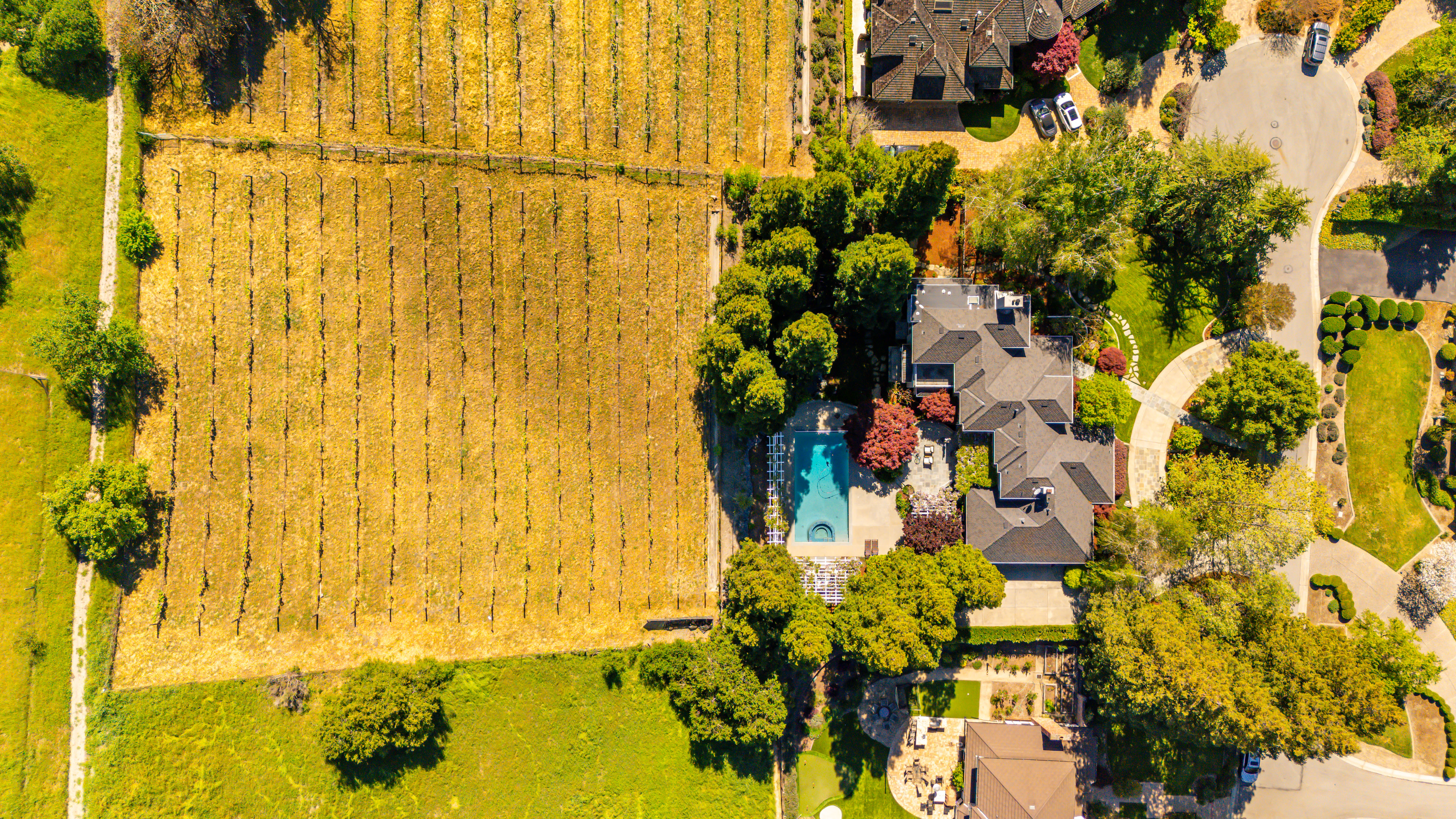  Elegant Vineyard Estate with Resort-Like Grounds - 物件實景