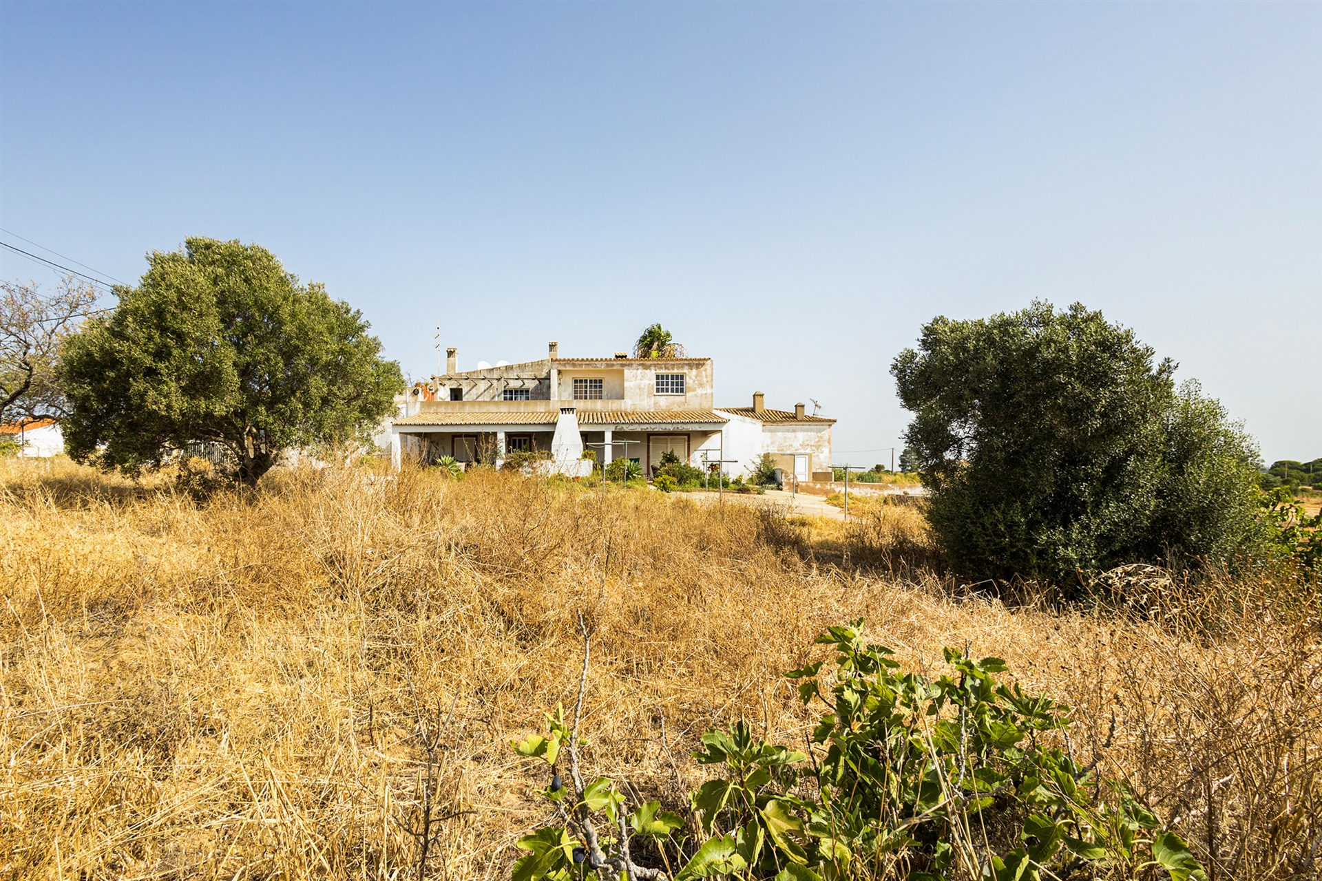  House, 8 bedrooms, for Sale - 物件實景