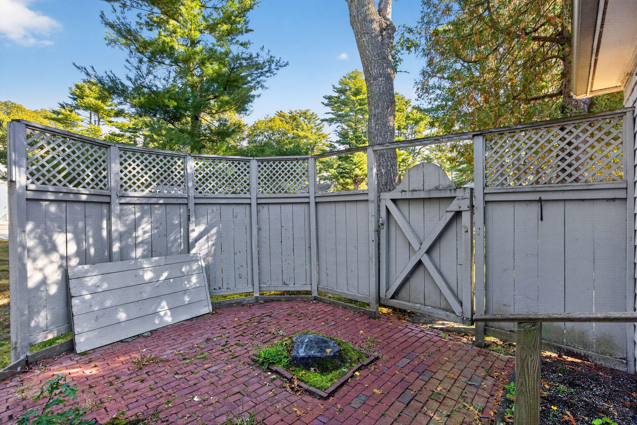  3040 Falmouth Road APT G3 - 物件實景