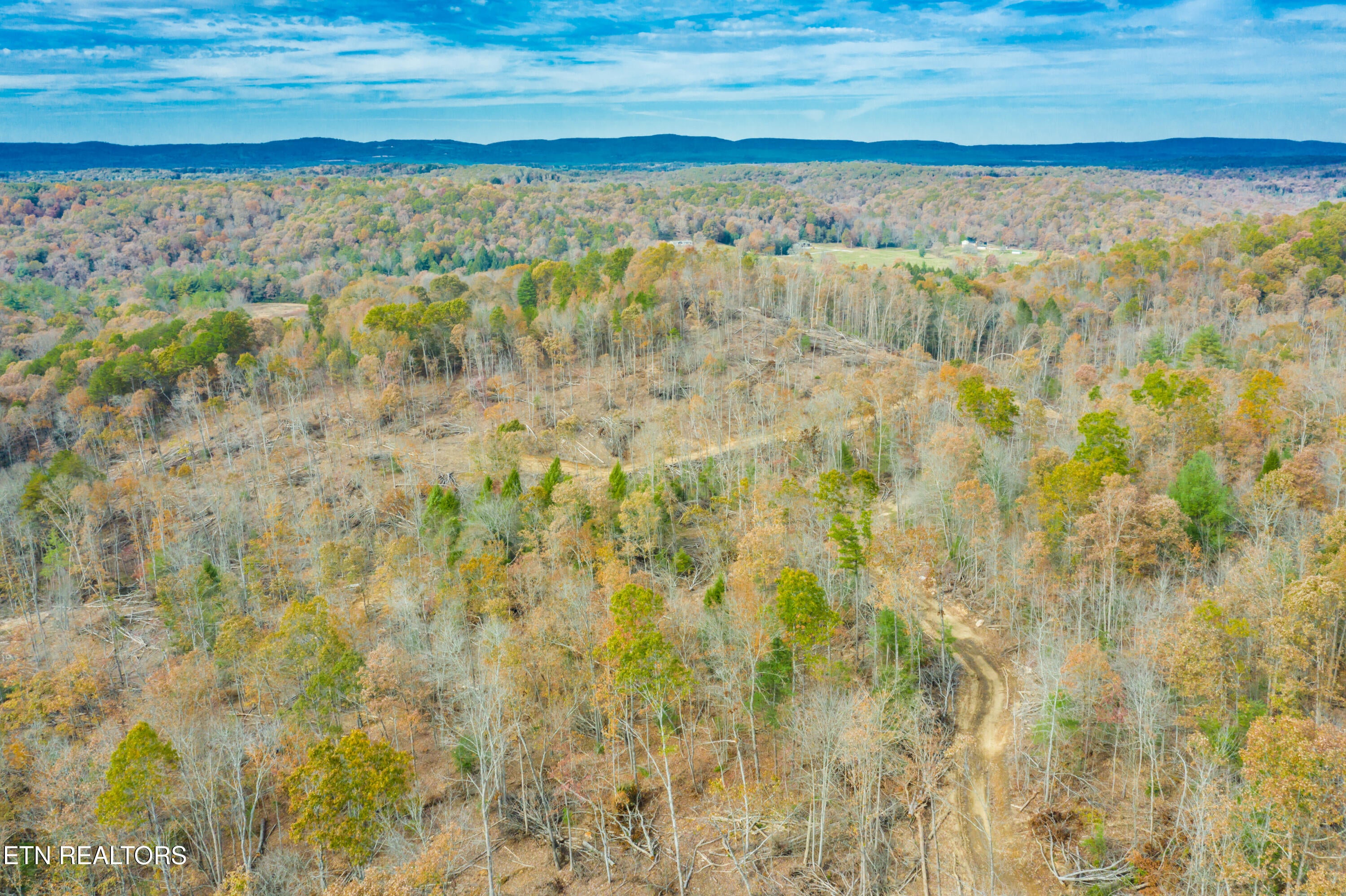 Rockwood, Tennessee, 37854, United States, ,Land,For Sale,1806468
